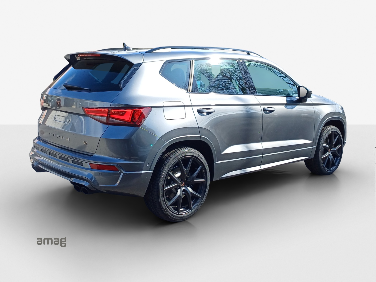 CUPRA CUPRA Ateca 2.0TSI 300 PS 7-Gang DSG 4Drive-image-4