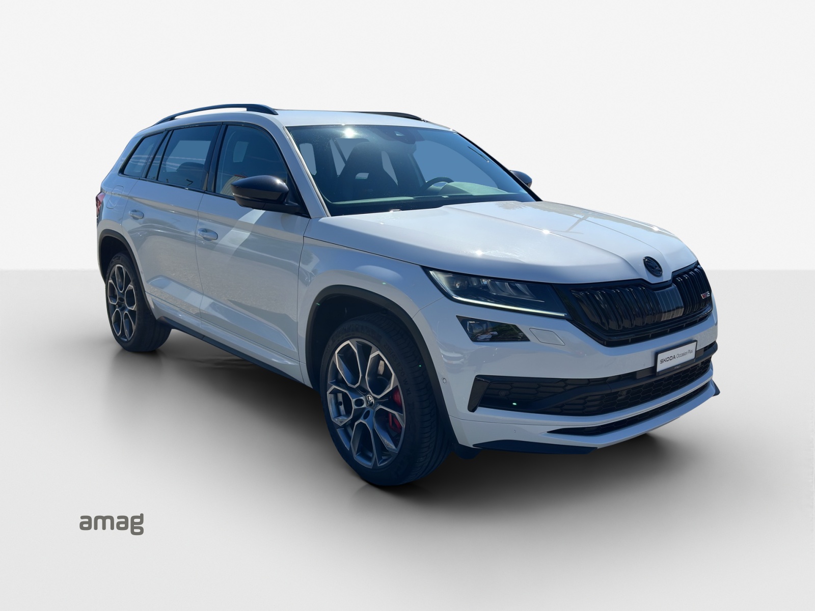 SKODA Kodiaq 2.0 Bi-TDI SCR RS 4x4 DSG-image-5