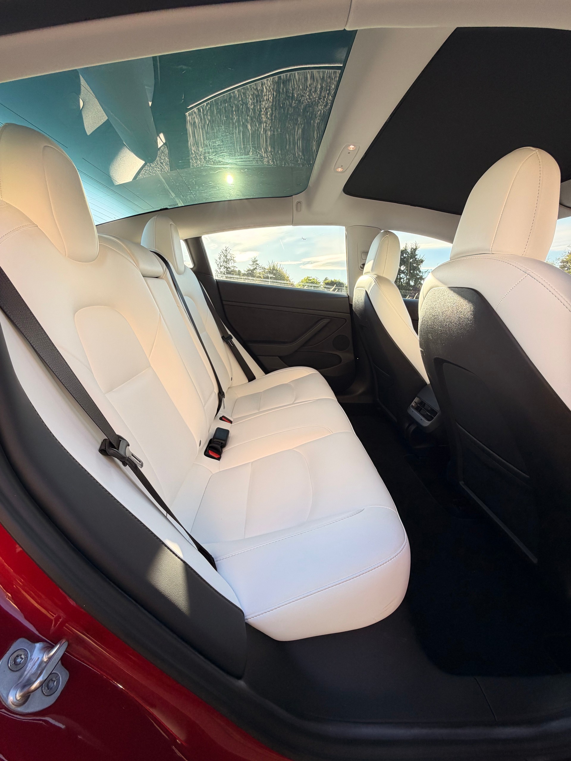 TESLA MODEL 3-image-12