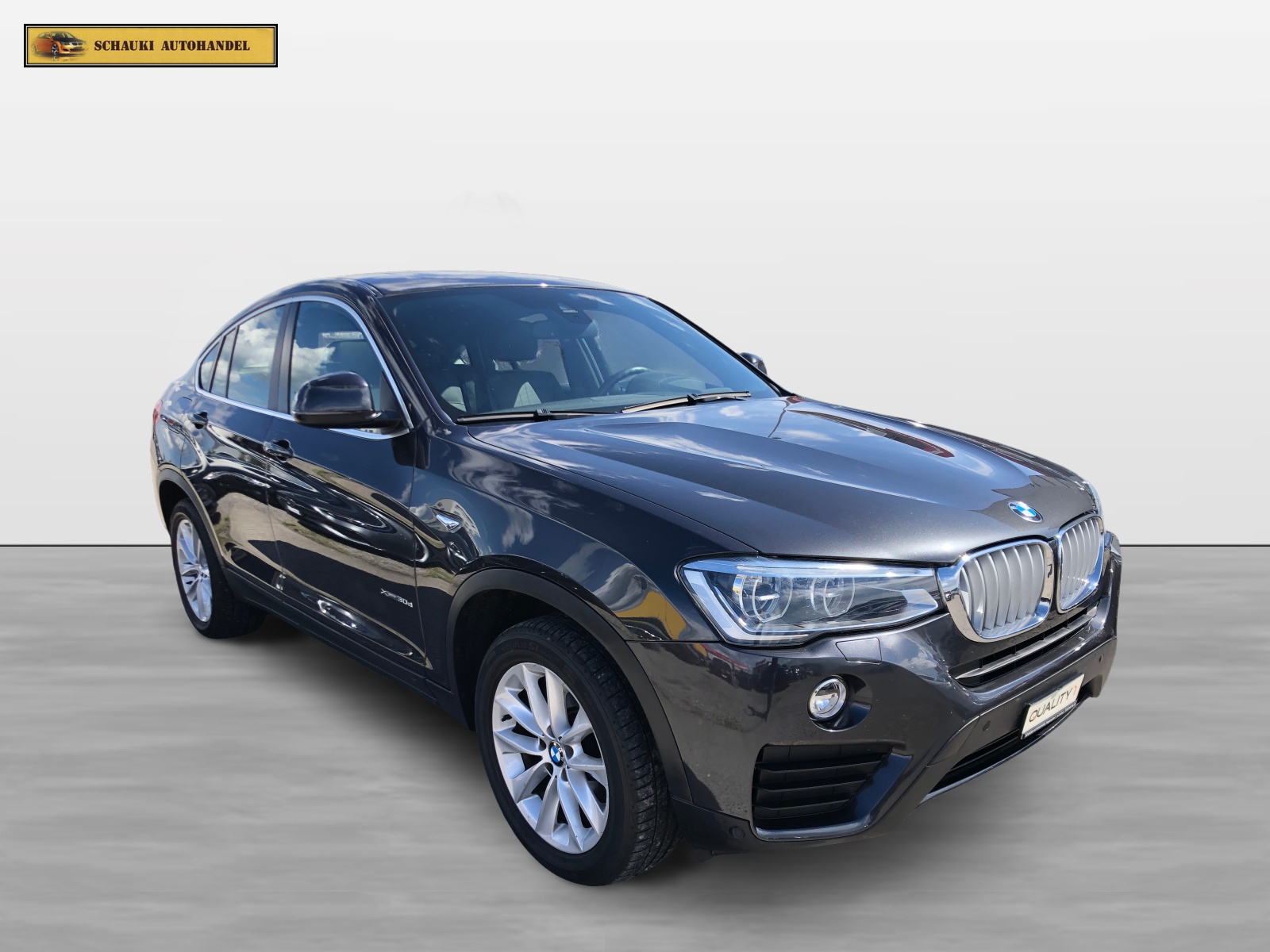 BMW X4 xDrive 30d M-Sport Steptronic-showroom-element-2