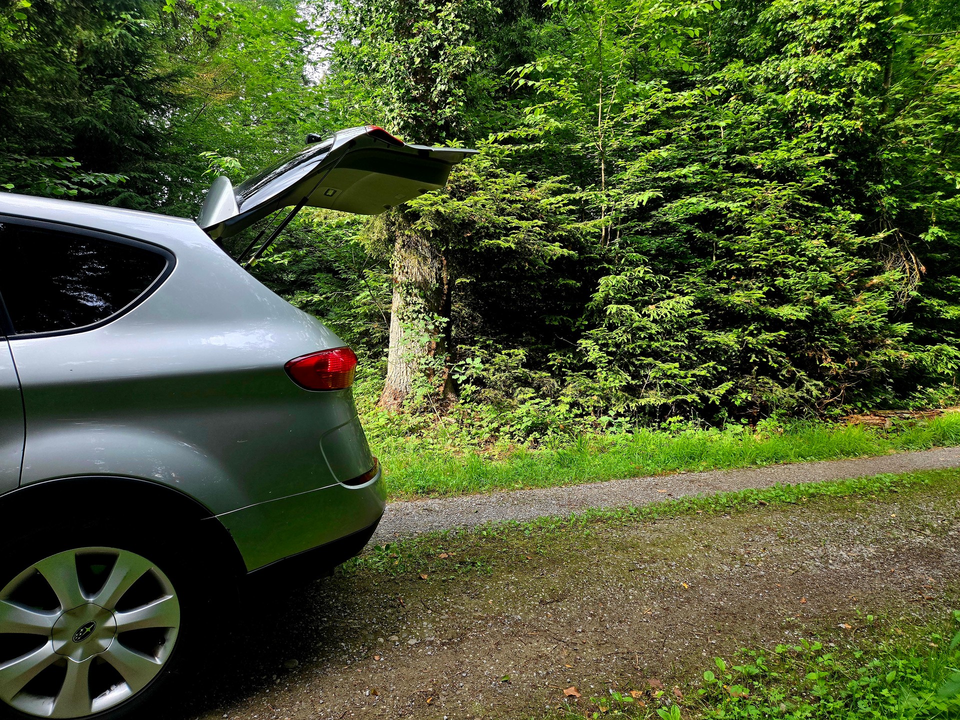 SUBARU Tribeca 3.0 AWD Executive-image-10