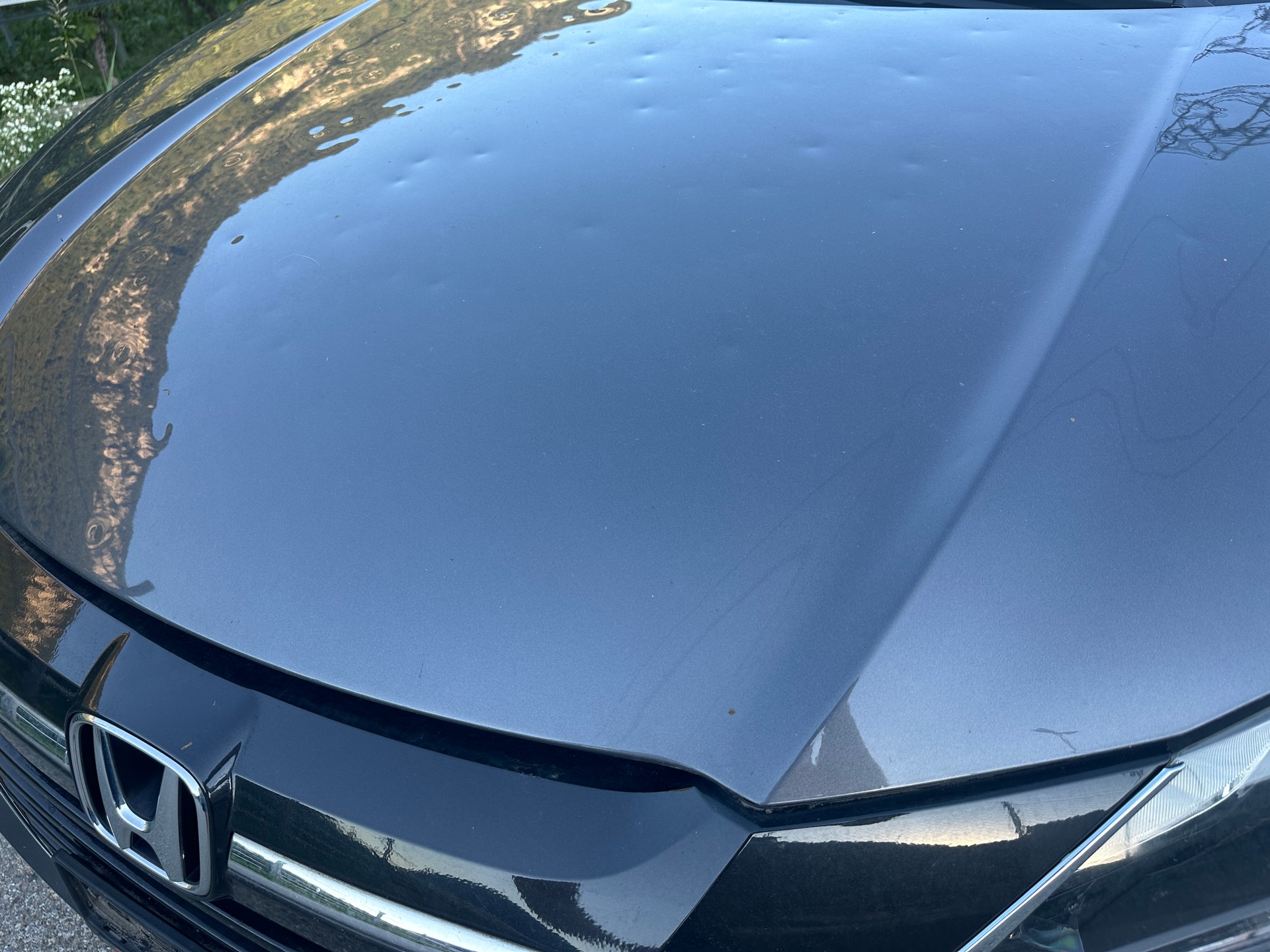 HONDA HR-V 1.6i-DTEC Executive-image-8