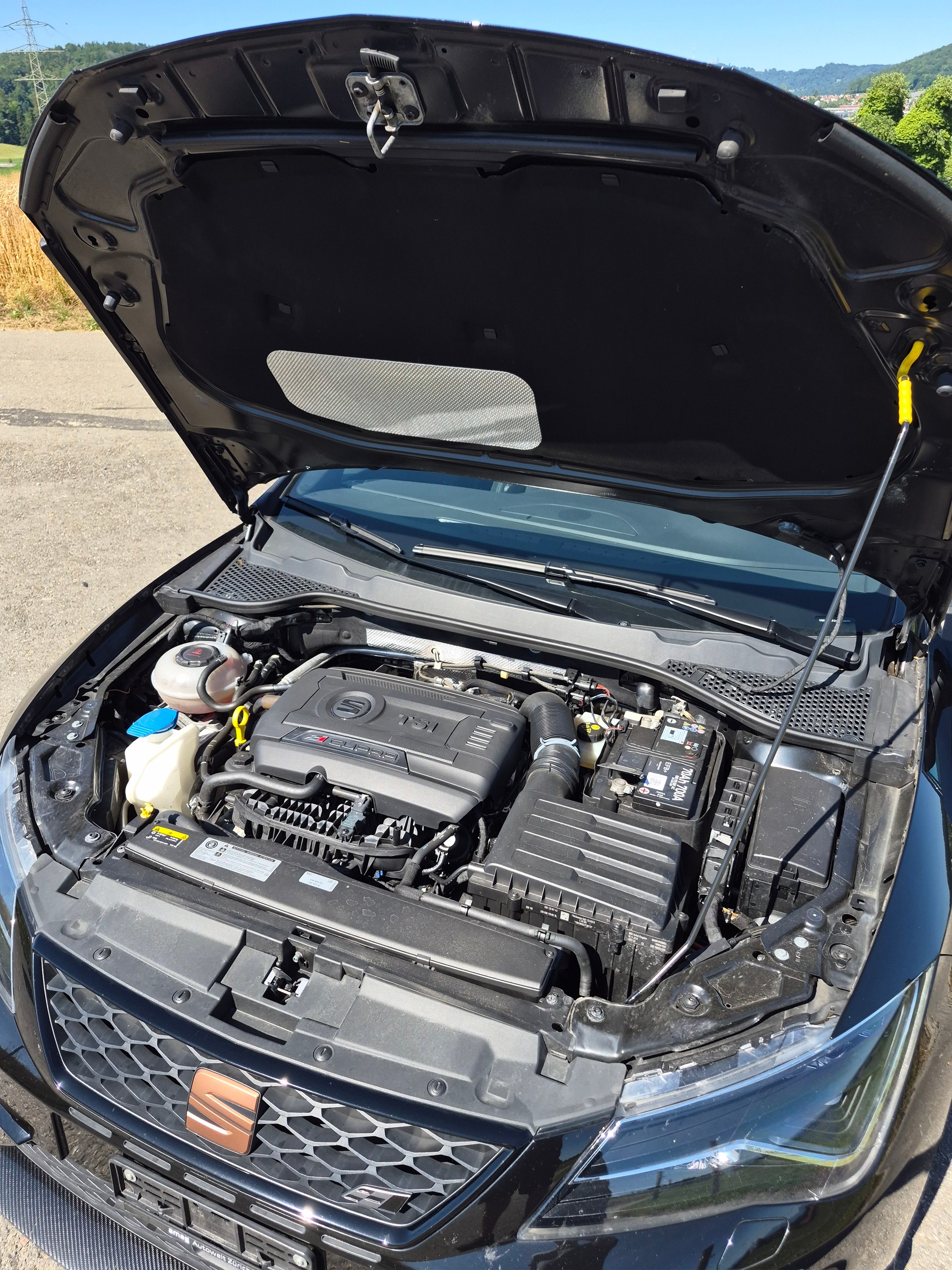 SEAT 2.0 TSI 300 Cupra R 4Drive DSG-image-4