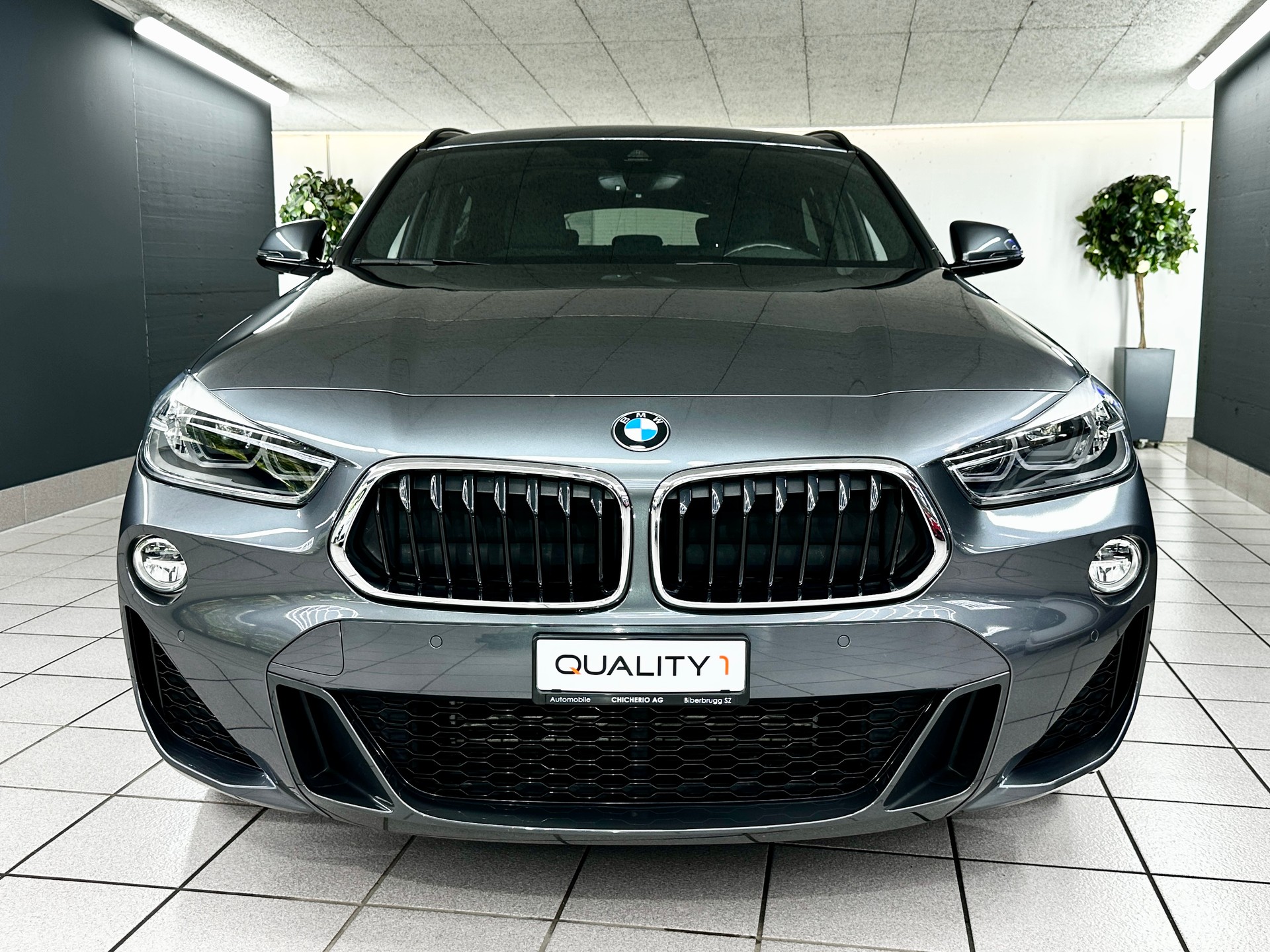 BMW X2 xDrive 20d M Sport Steptronic-image-7