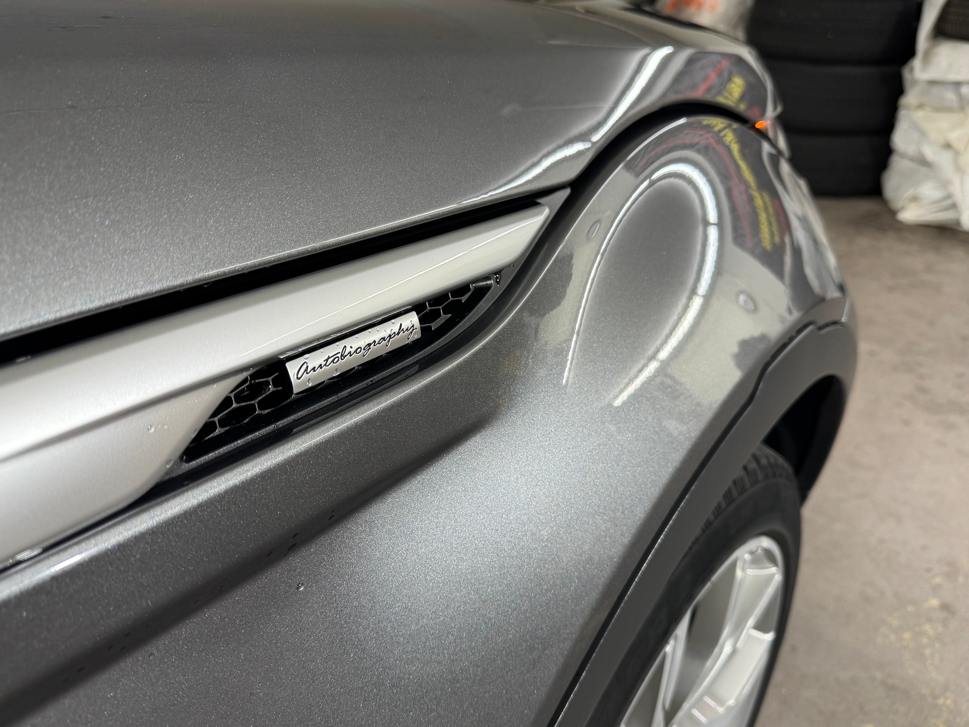LAND ROVER Range Rover Evoque 2.0 Si4 Autobiography AT9-image-6