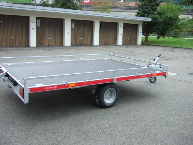 TEMARED Quad 2 3020 1'500Kg-image-3
