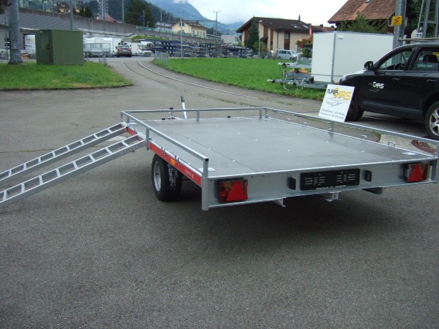 TEMARED Quad 2 3020 1'500Kg-image-6