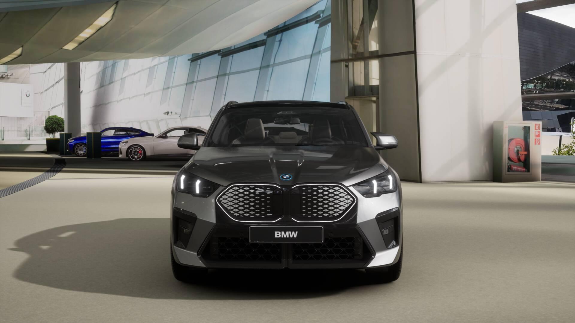 BMW iX2 30 xDrive-image-2