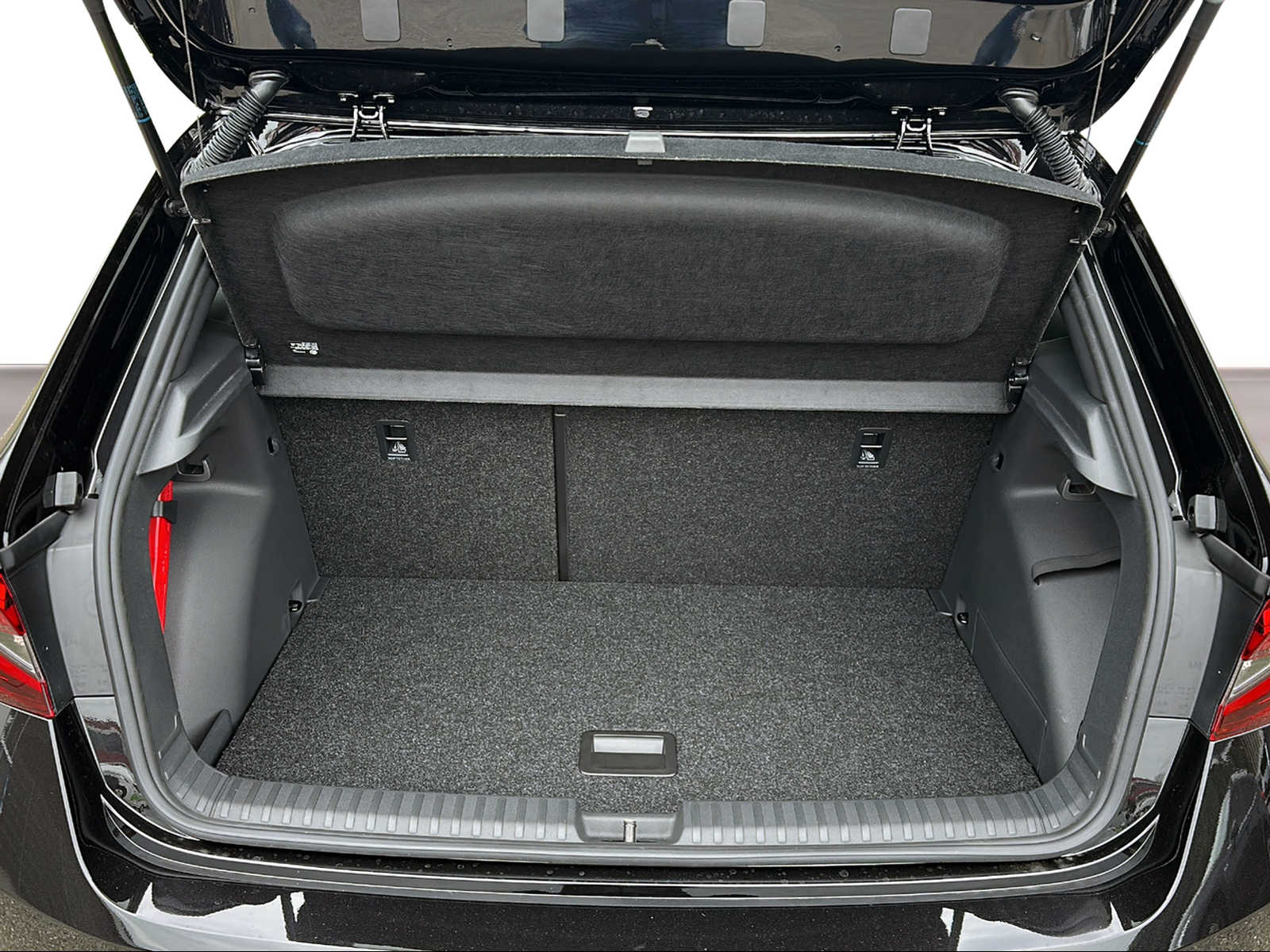 SKODA Fabia 1.0 TSI Monte Carlo DSG-image-5
