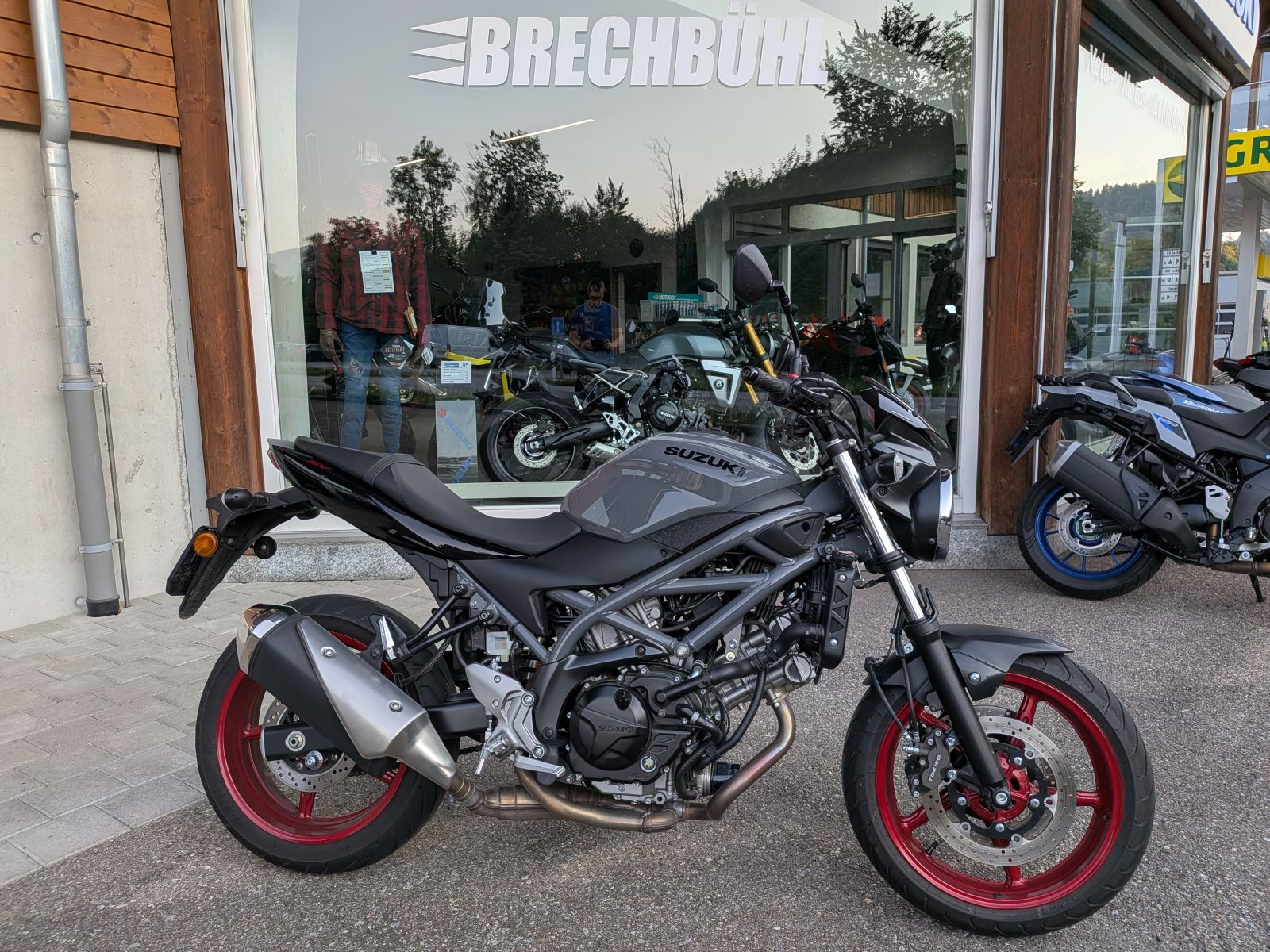 SUZUKI SV 650