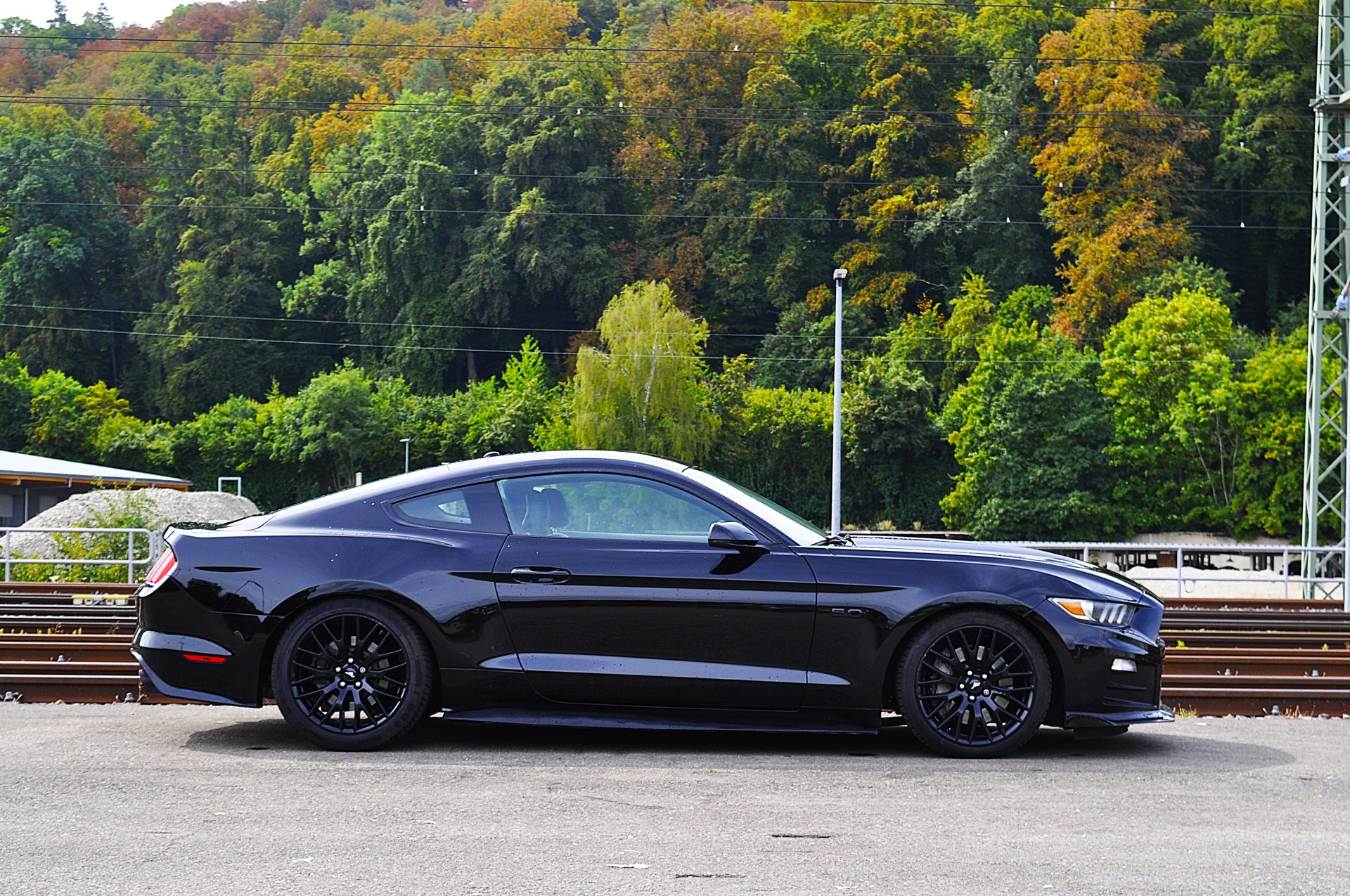FORD Mustang Fastback 5.0 V8 GT Black Shadow Edition-image-5