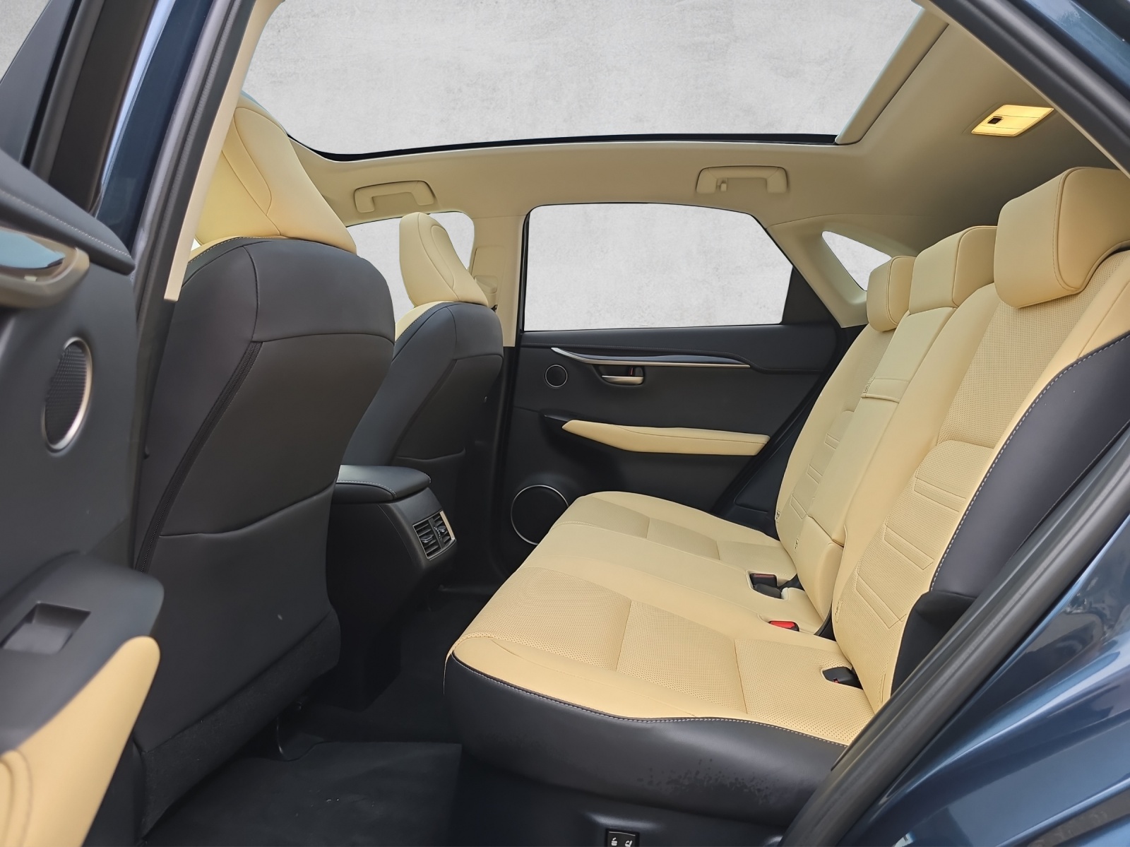 LEXUS NX 200t Luxury Line AWD Automatic AHK-image-10