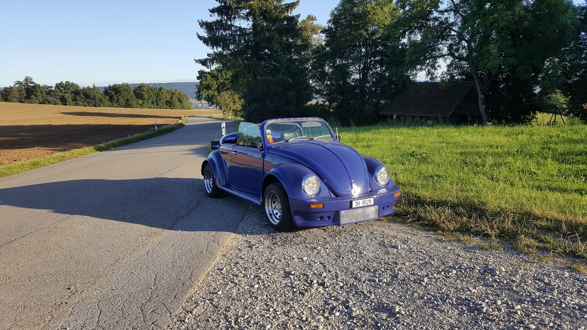VW Käfer-image-0