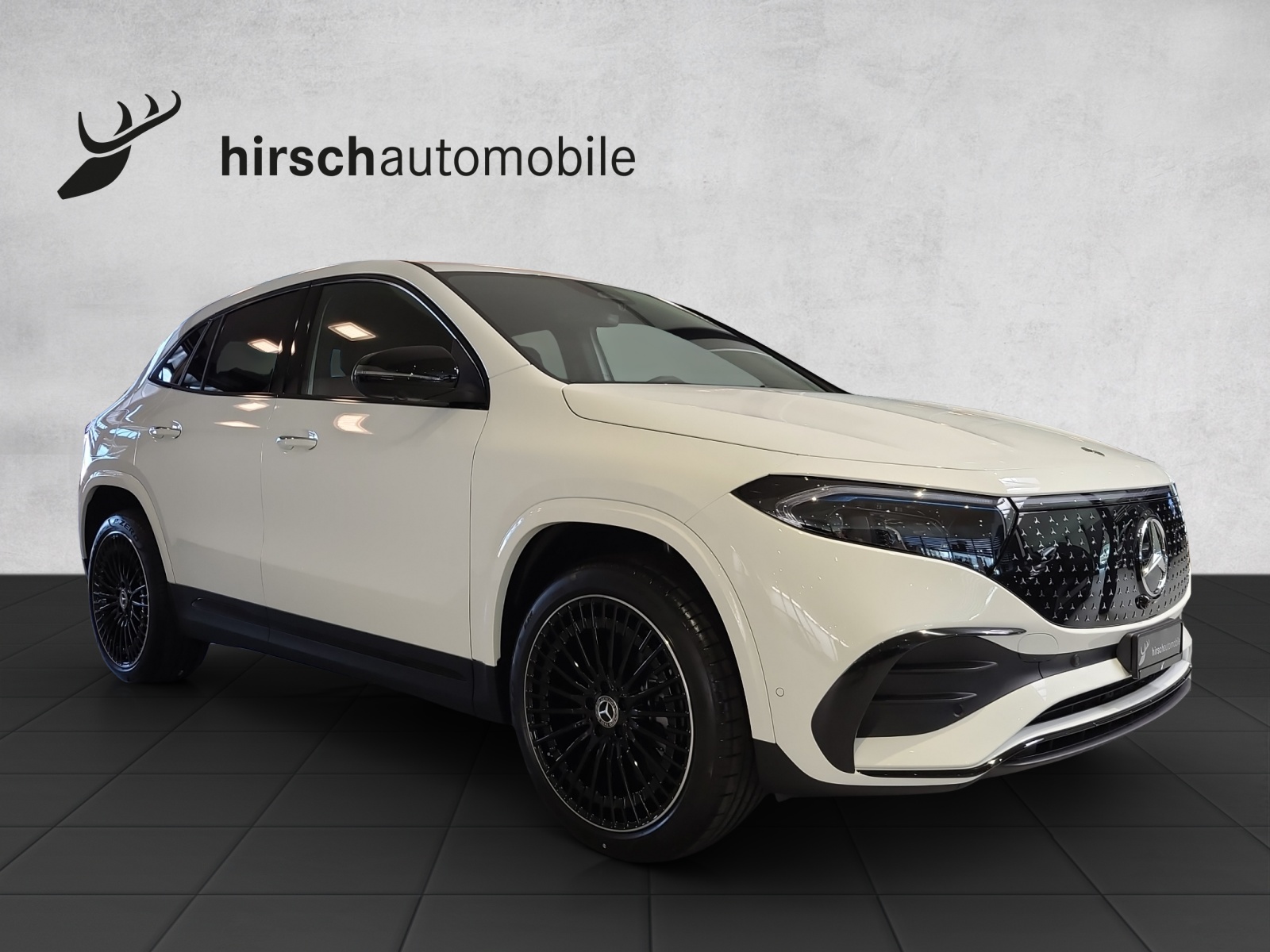MERCEDES-BENZ EQA 350 66,5 kWh 4Matic Excellence-image-4