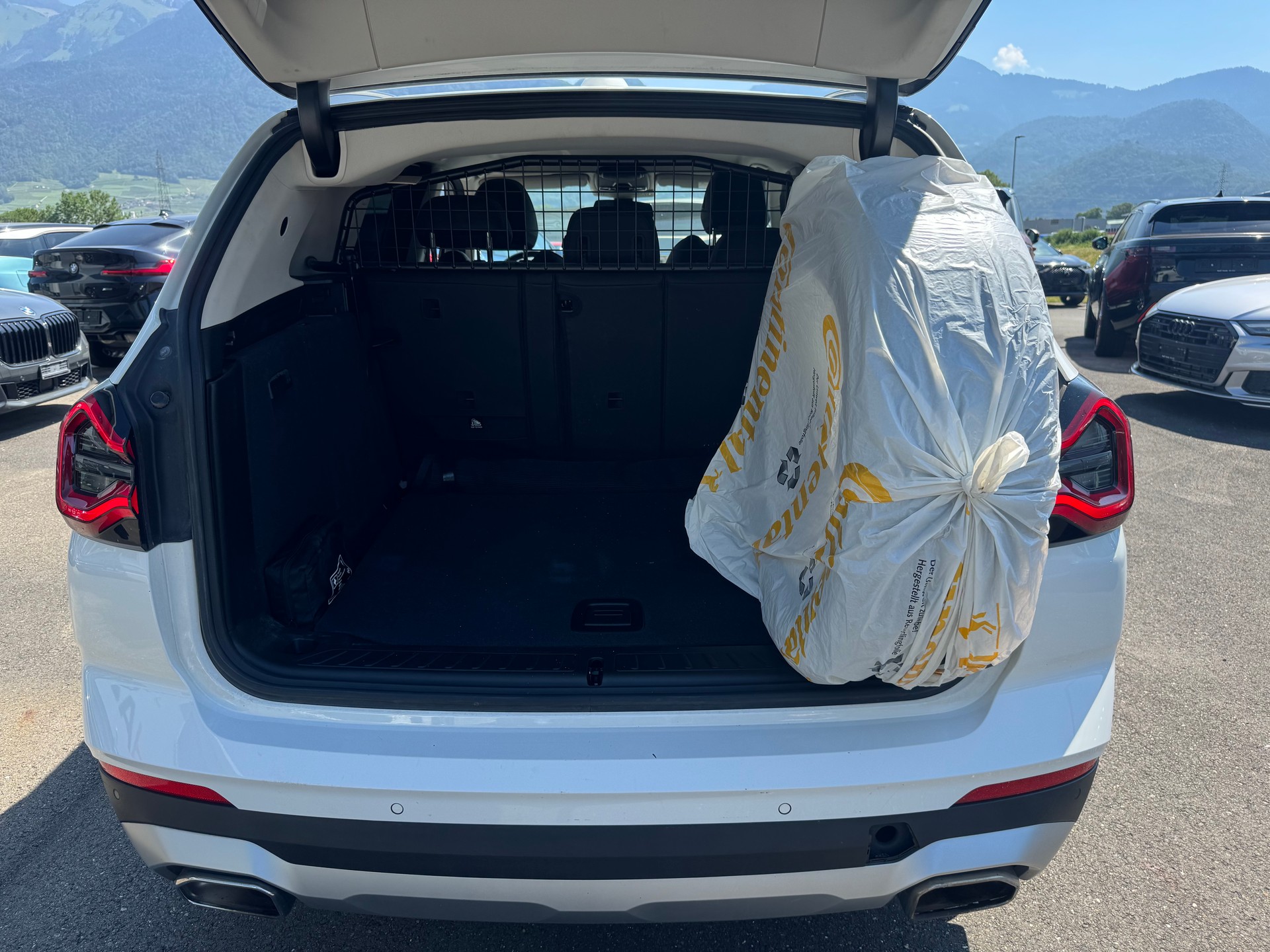 BMW X3 xDrive 30i Individual Steptronic-image-8