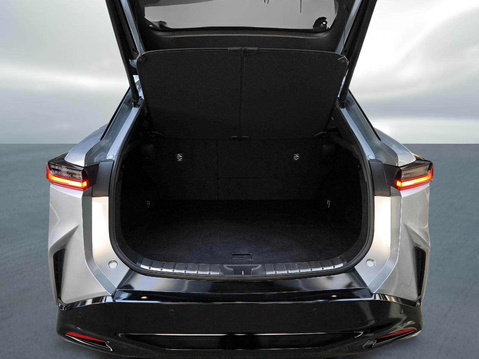LEXUS RZ 450e Excellence-image-9