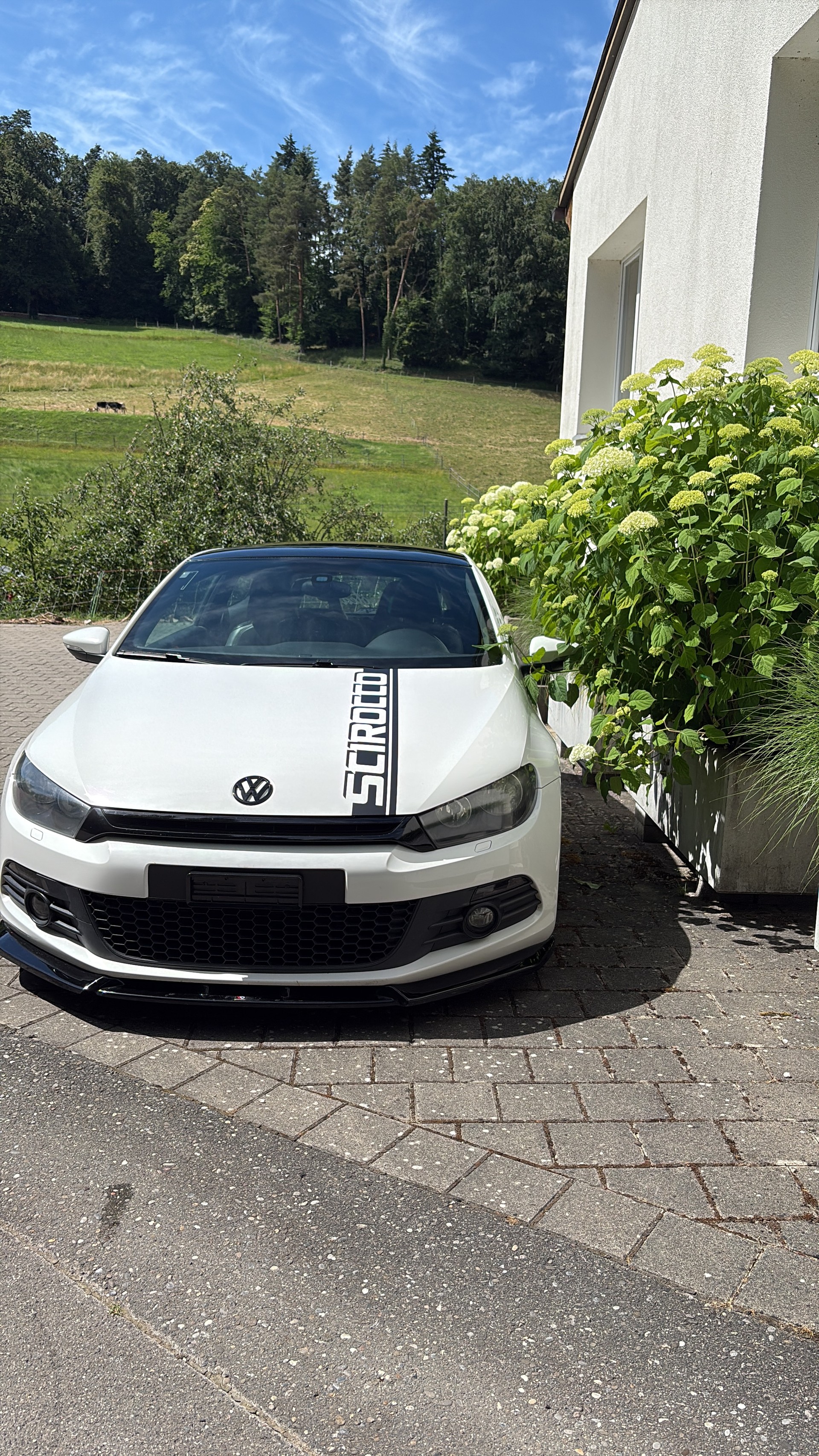 VW 2.0 TSI DSG-image-1