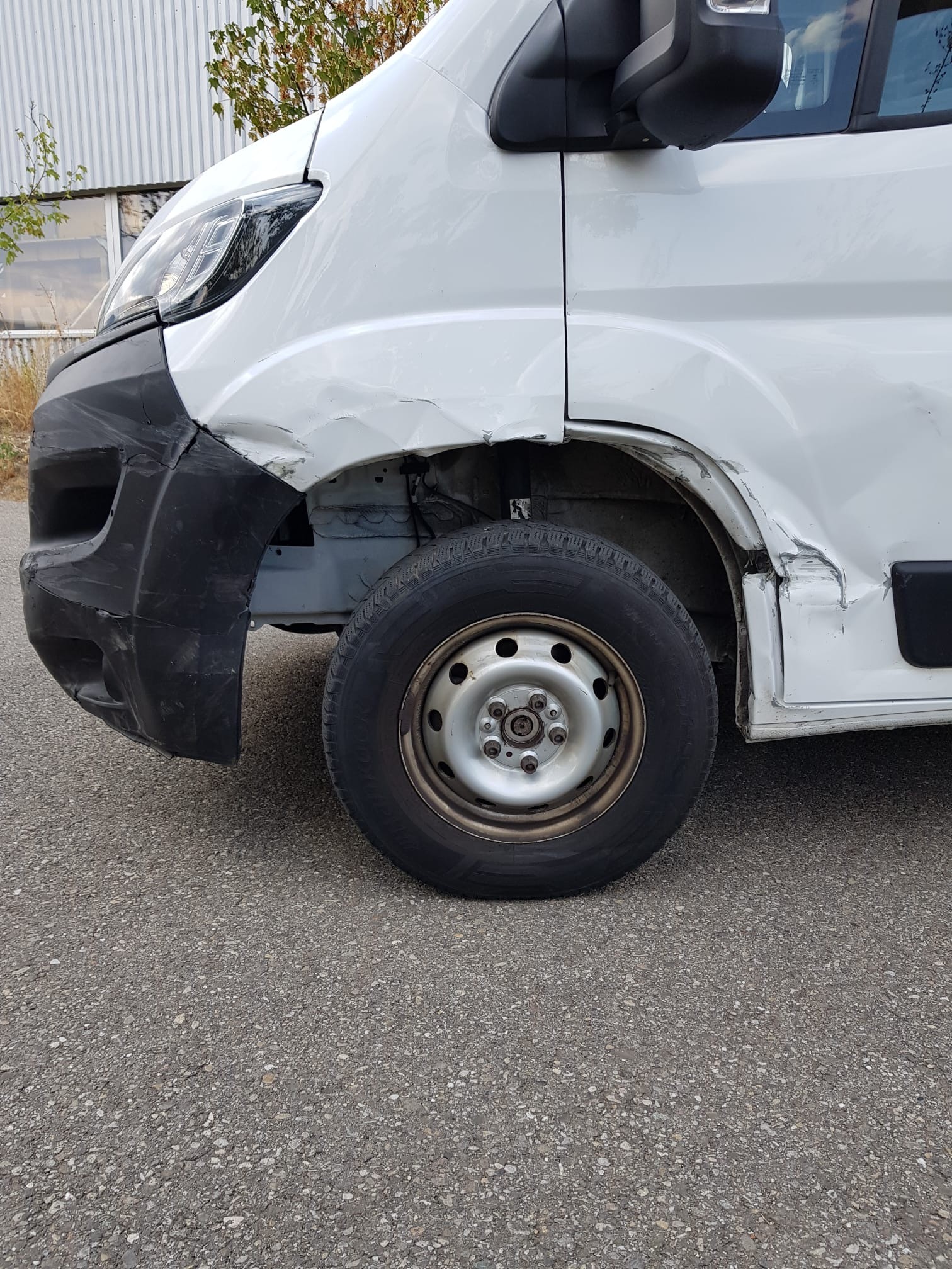 FIAT DUCATO L3H2 SWISS-image-8