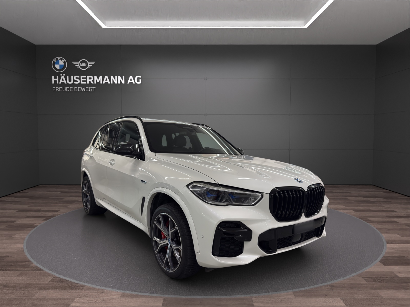 BMW X5 xDrive45e M SPORT-showroom-element-2