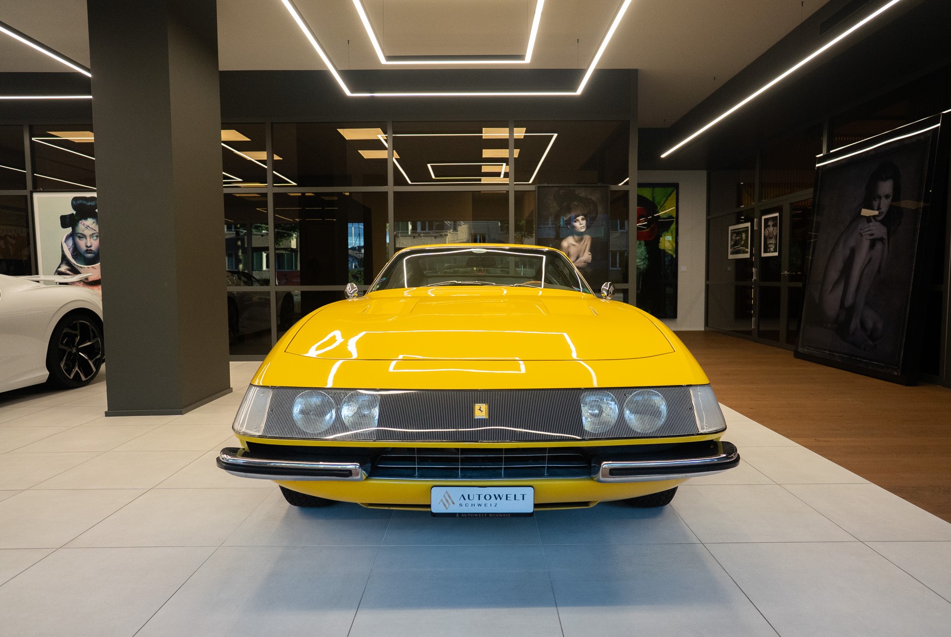 FERRARI 365 GTB Daytona "Plexiglas"-showroom-element-2