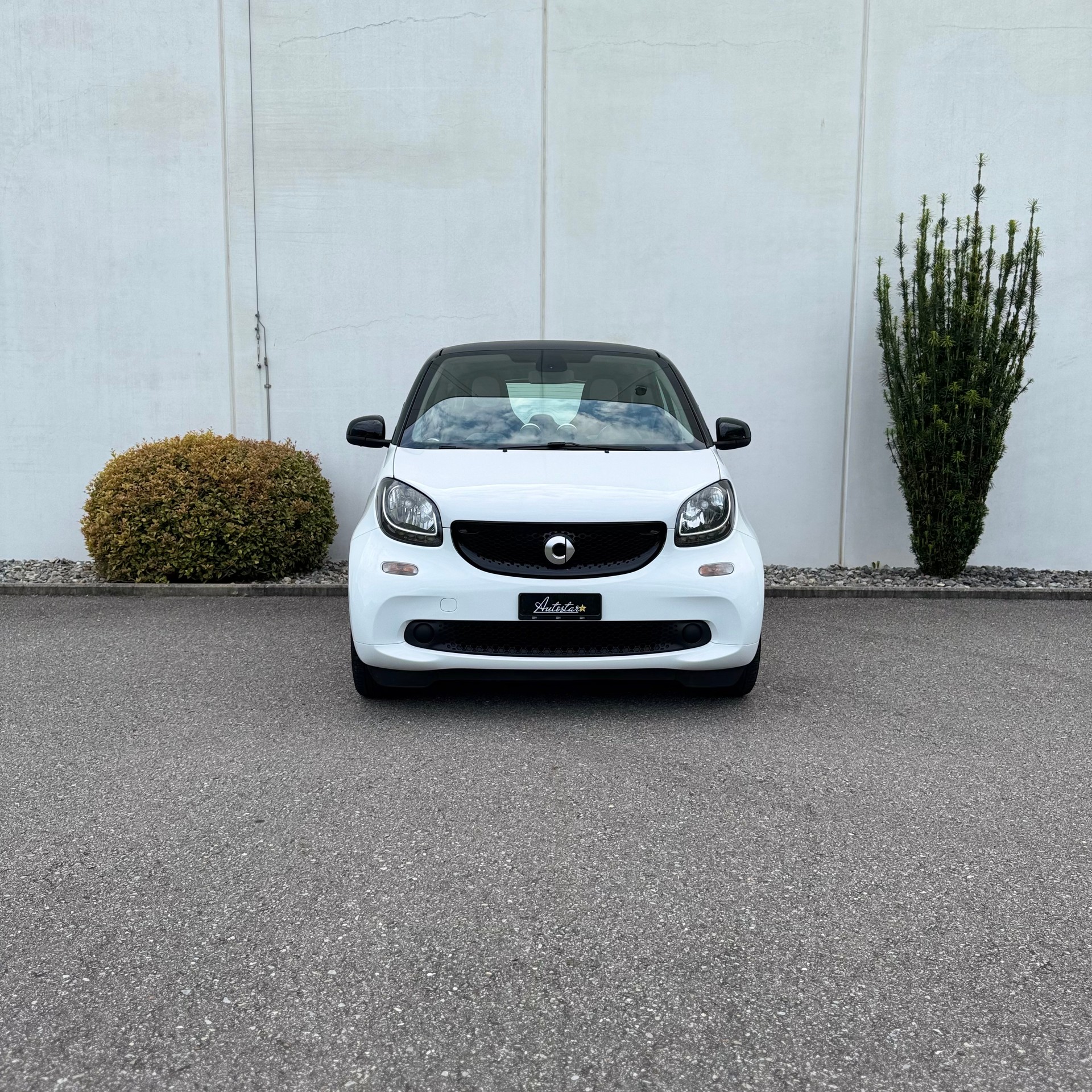 SMART fortwo passion twinmatic-image-1