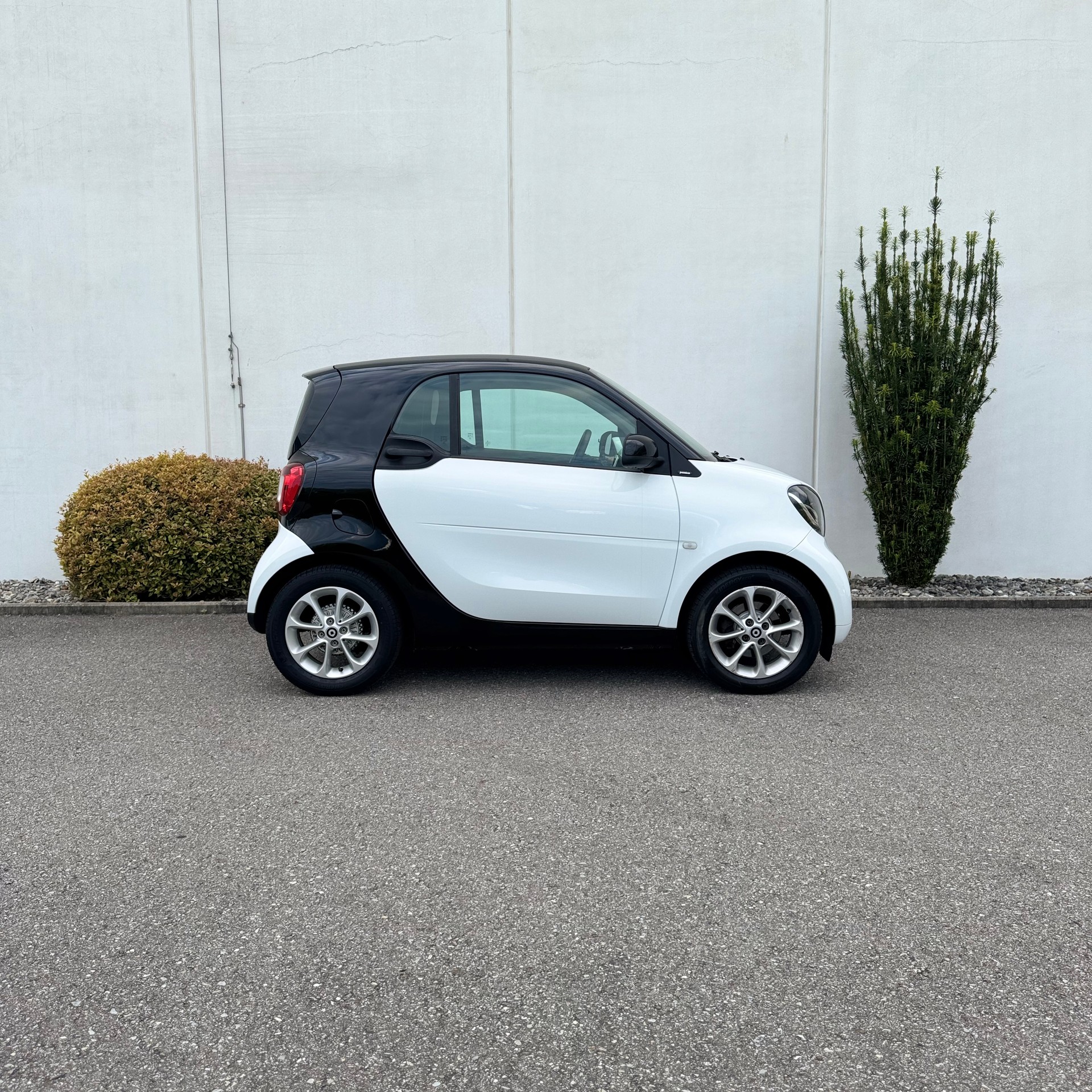 SMART fortwo passion twinmatic-image-2