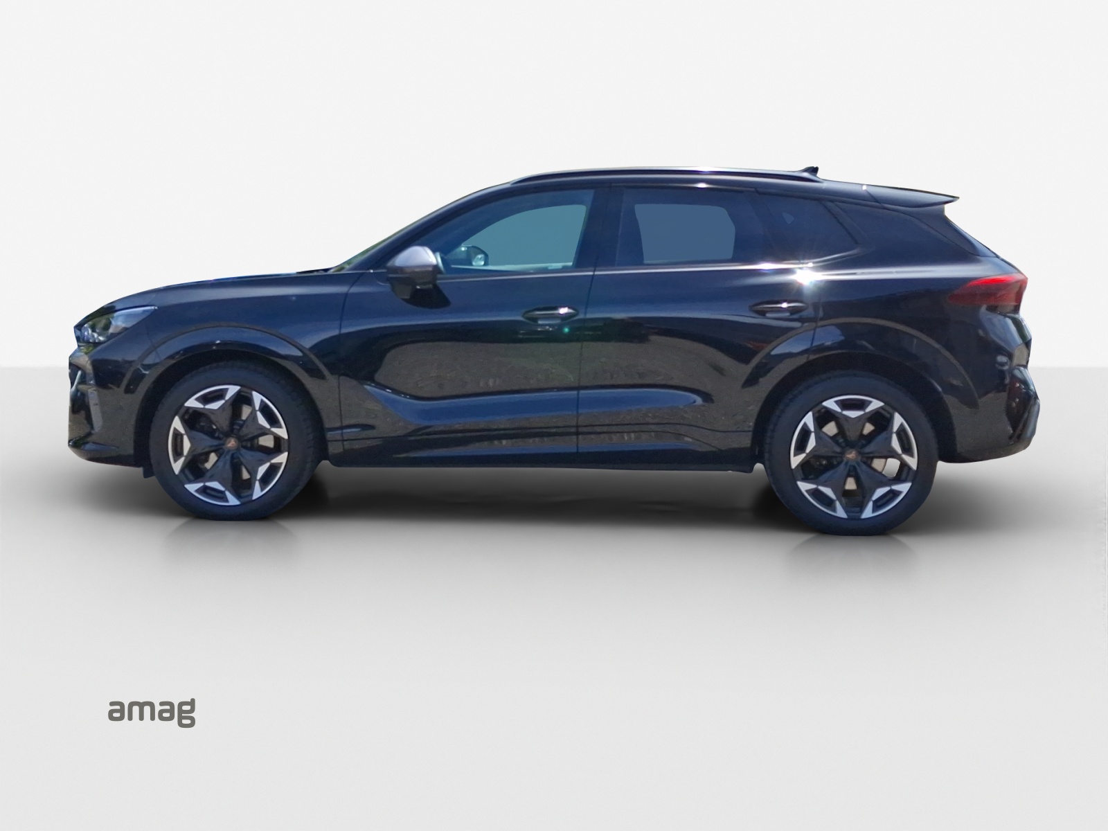 CUPRA Terramar 2.0 TSI DSG 4Drive VZ-showroom-element-1