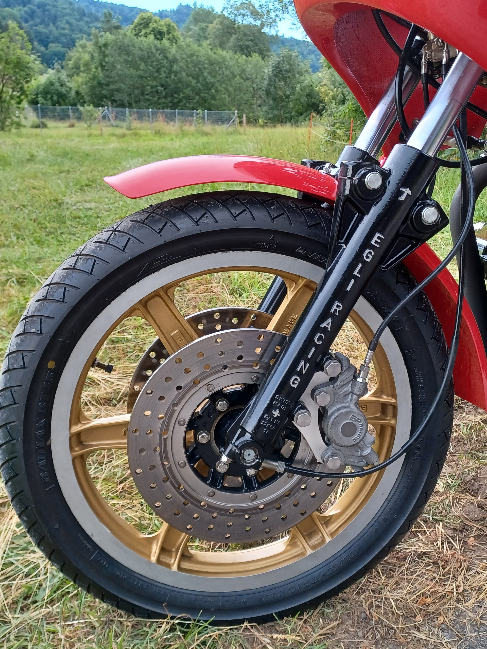 EGLI Kawasaki 900 Z1-image-7