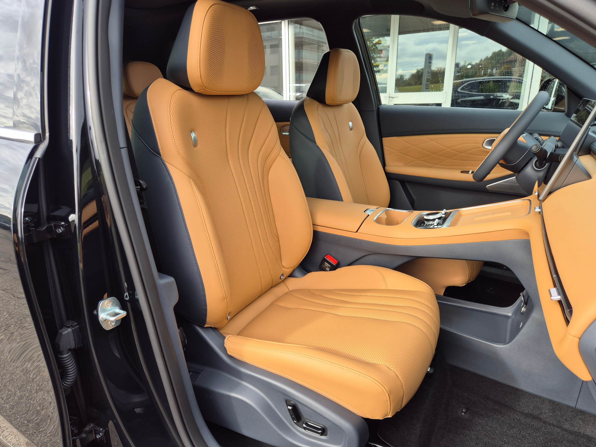 GEELY STARRAY EM-i Max Plug in Hybrid 29.8kW Akku-image-18