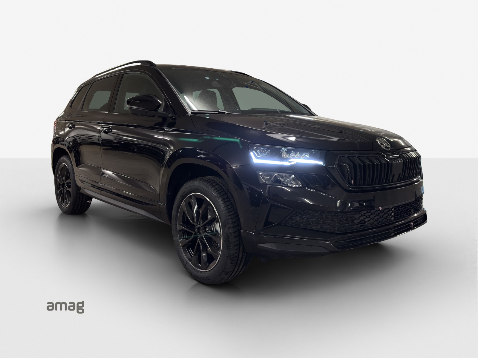 SKODA Karoq 2.0 TSI Dynamic Limited Edition 4x4 DSG-image-5