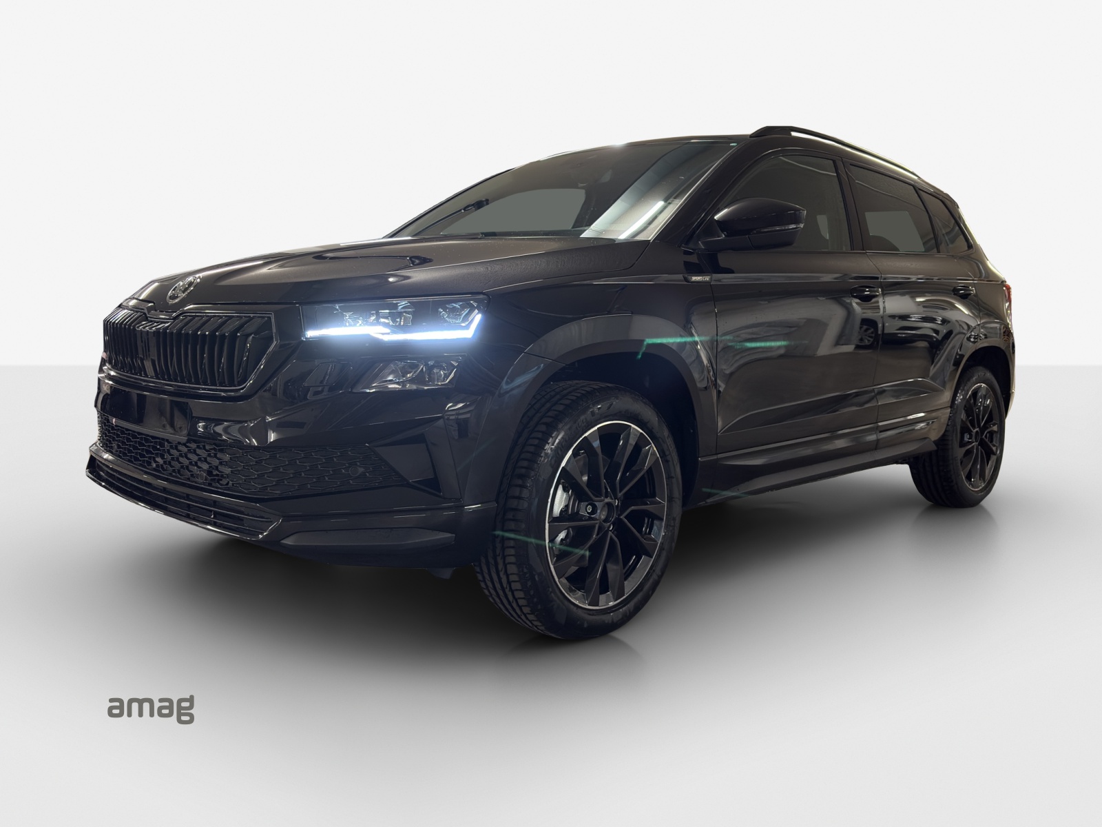 SKODA Karoq 2.0 TSI Dynamic Limited Edition 4x4 DSG-image-0