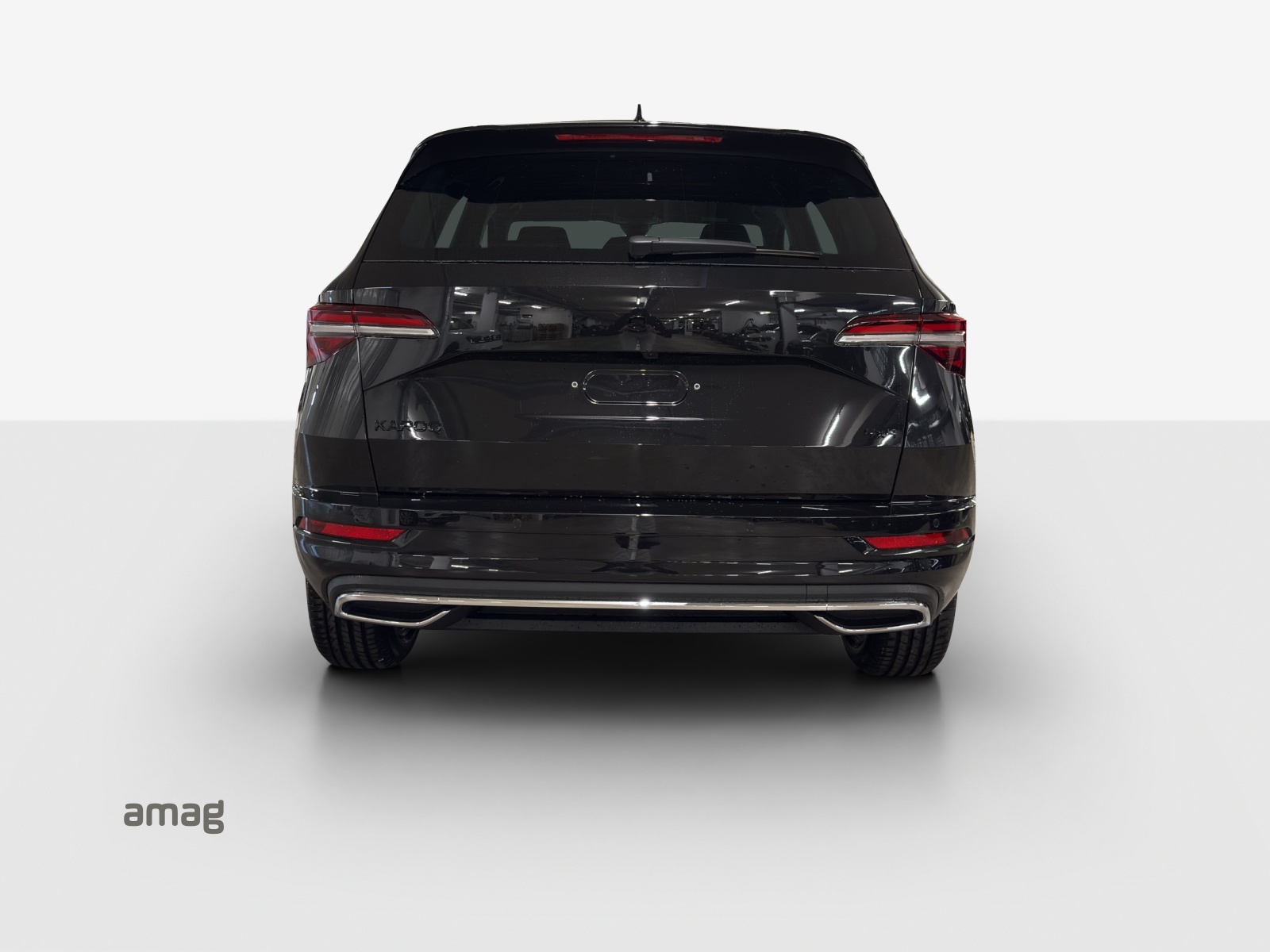 SKODA Karoq 2.0 TSI Dynamic Limited Edition 4x4 DSG-showroom-element-3