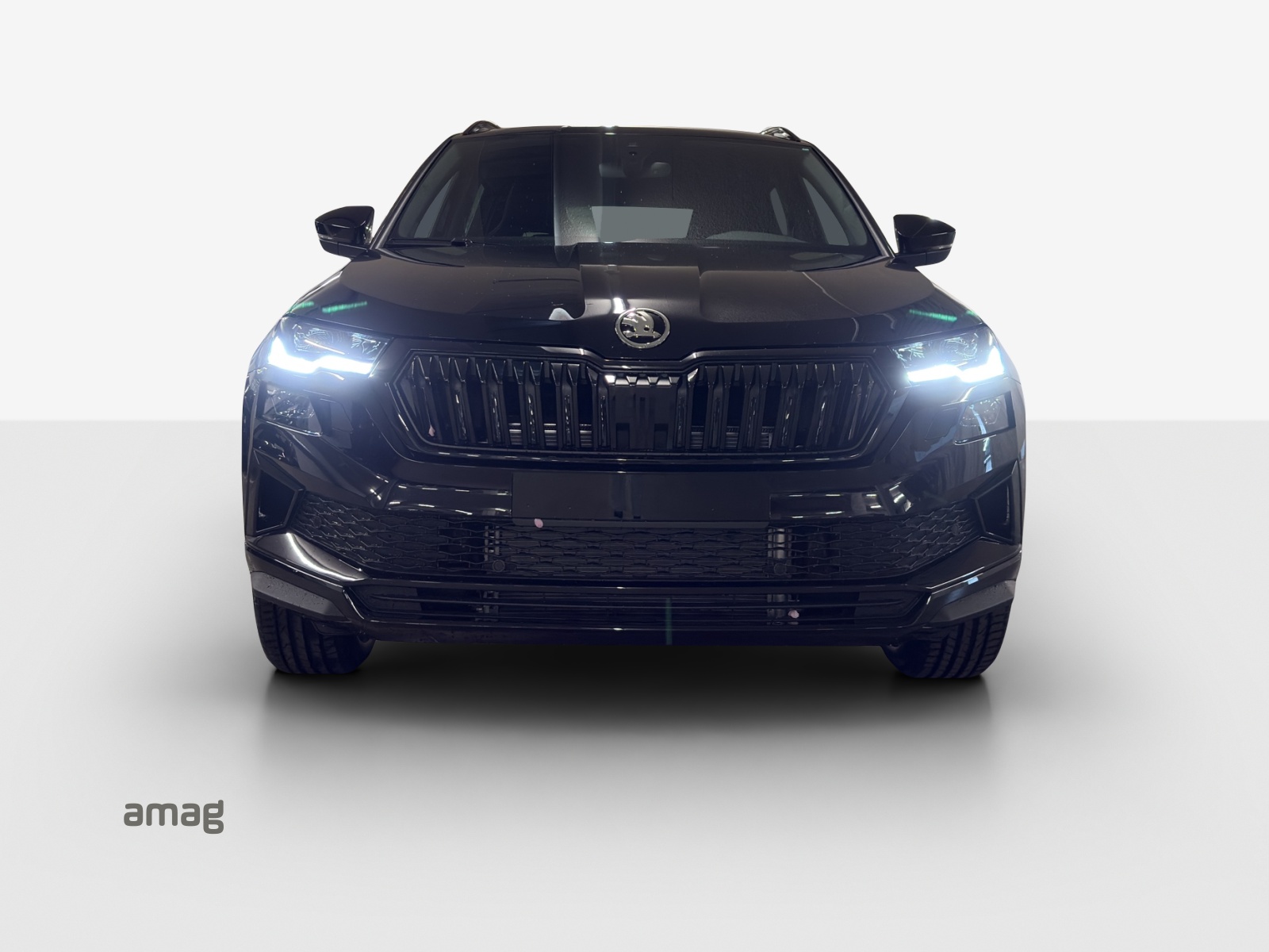 SKODA Karoq 2.0 TSI Dynamic Limited Edition 4x4 DSG-image-6
