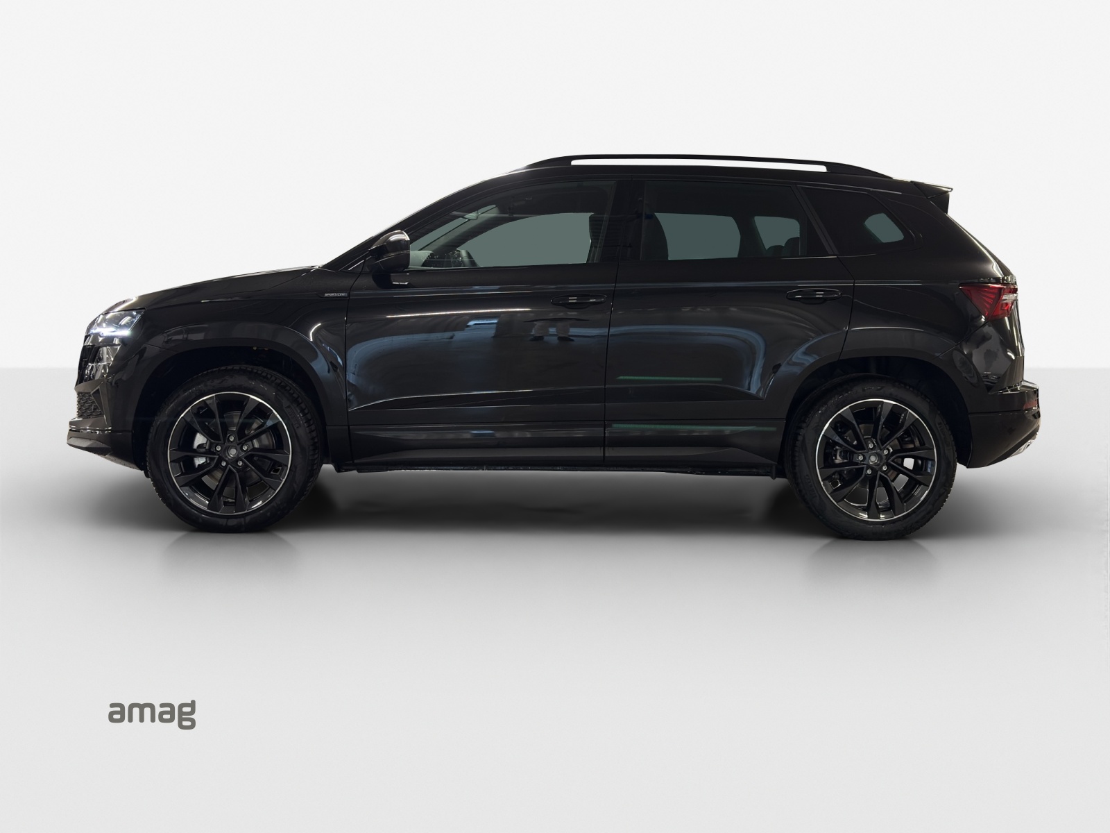 SKODA Karoq 2.0 TSI Dynamic Limited Edition 4x4 DSG-image-1