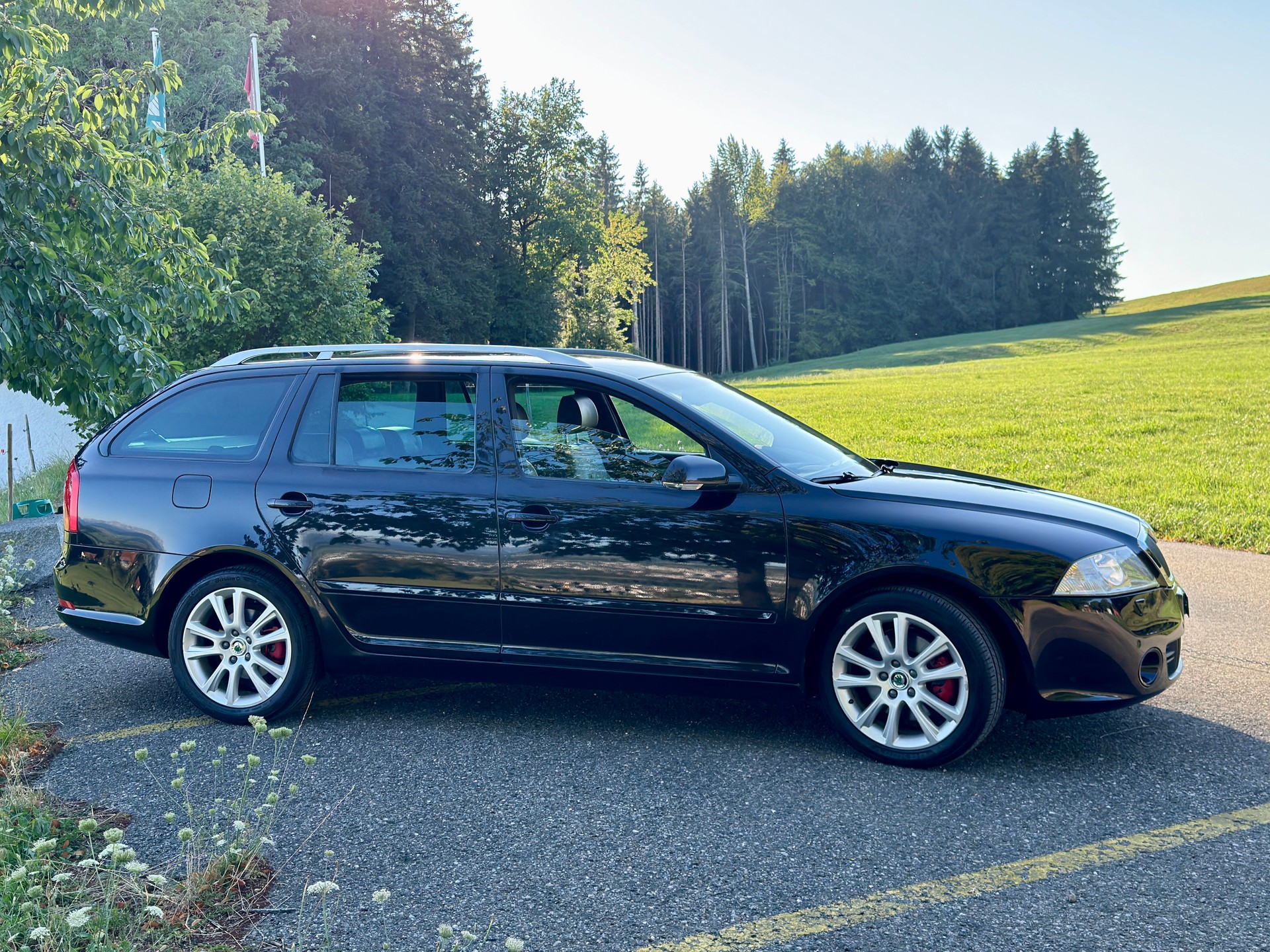 SKODA 2.0 TFSI 200 RS-image-2