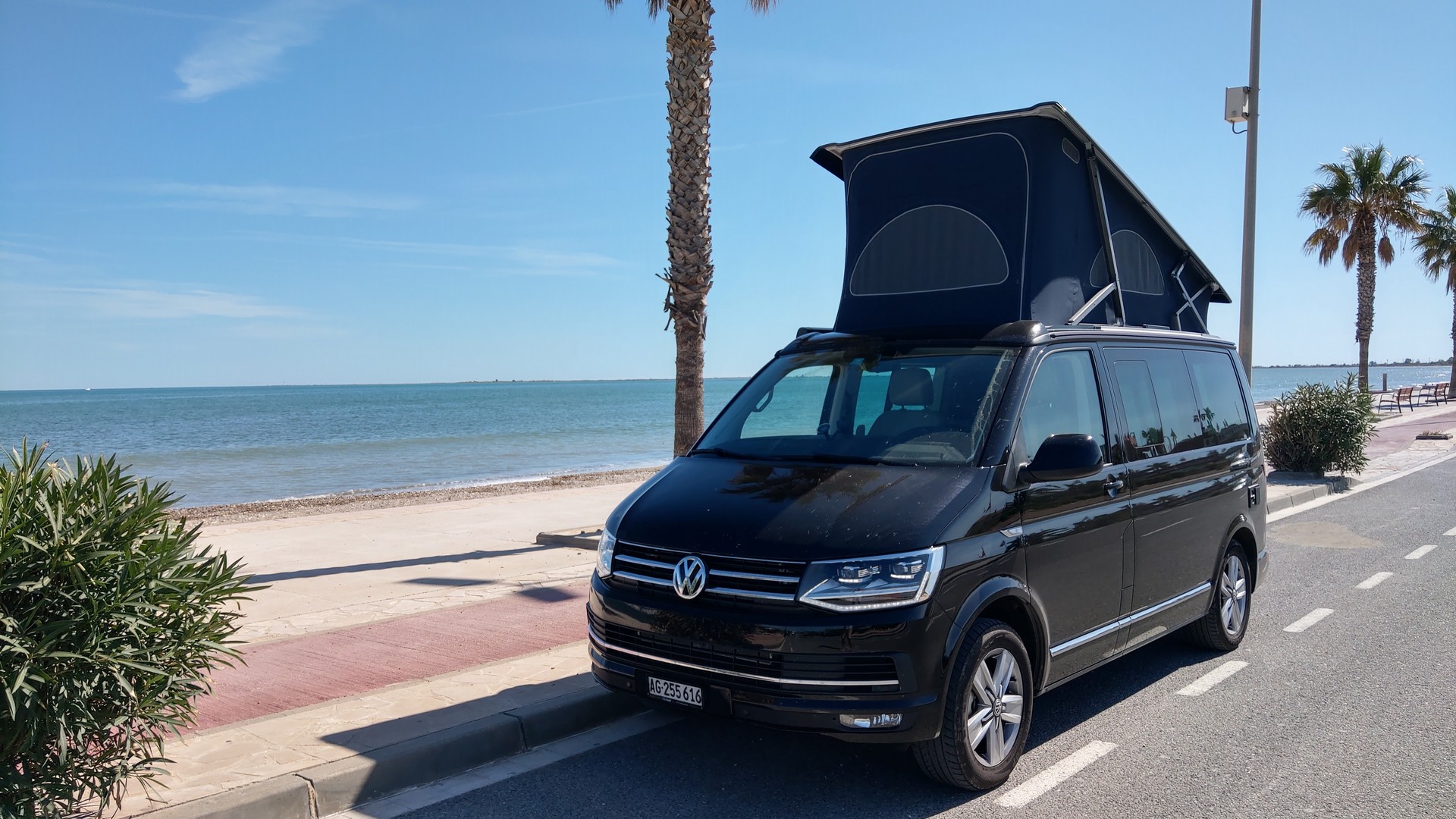 VW CALIFORNIA-image-1
