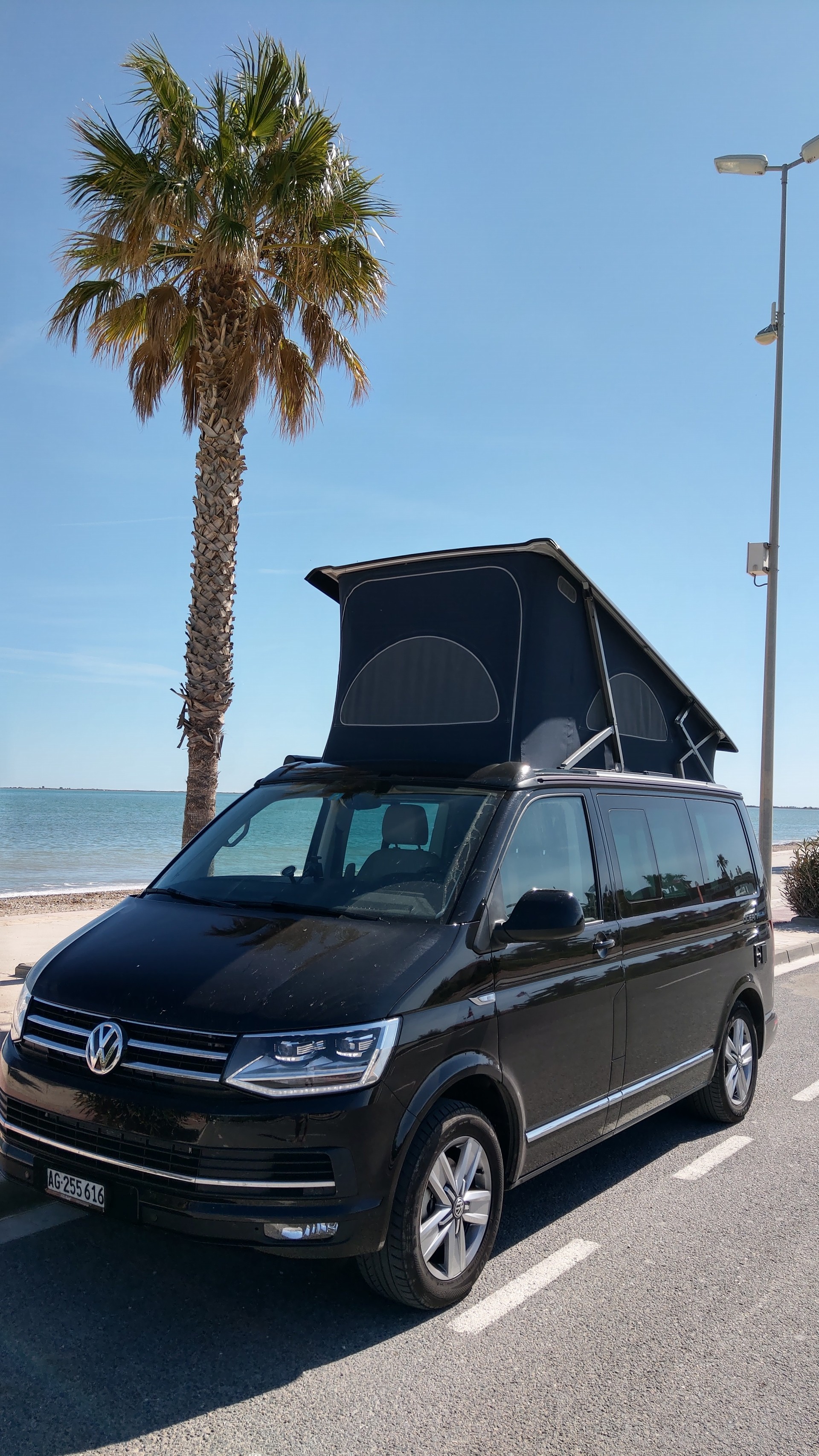 VW CALIFORNIA-image-2