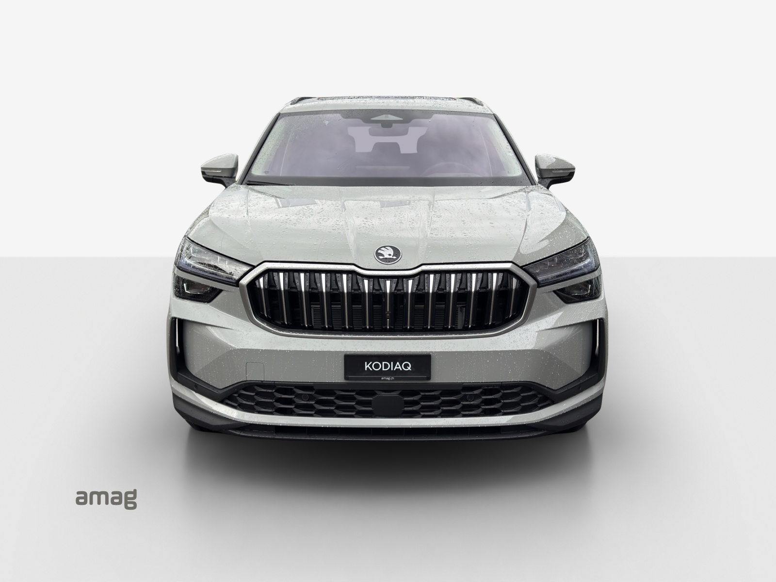 SKODA Kodiaq 2.0 TSI Dynamic 4x4-image-6