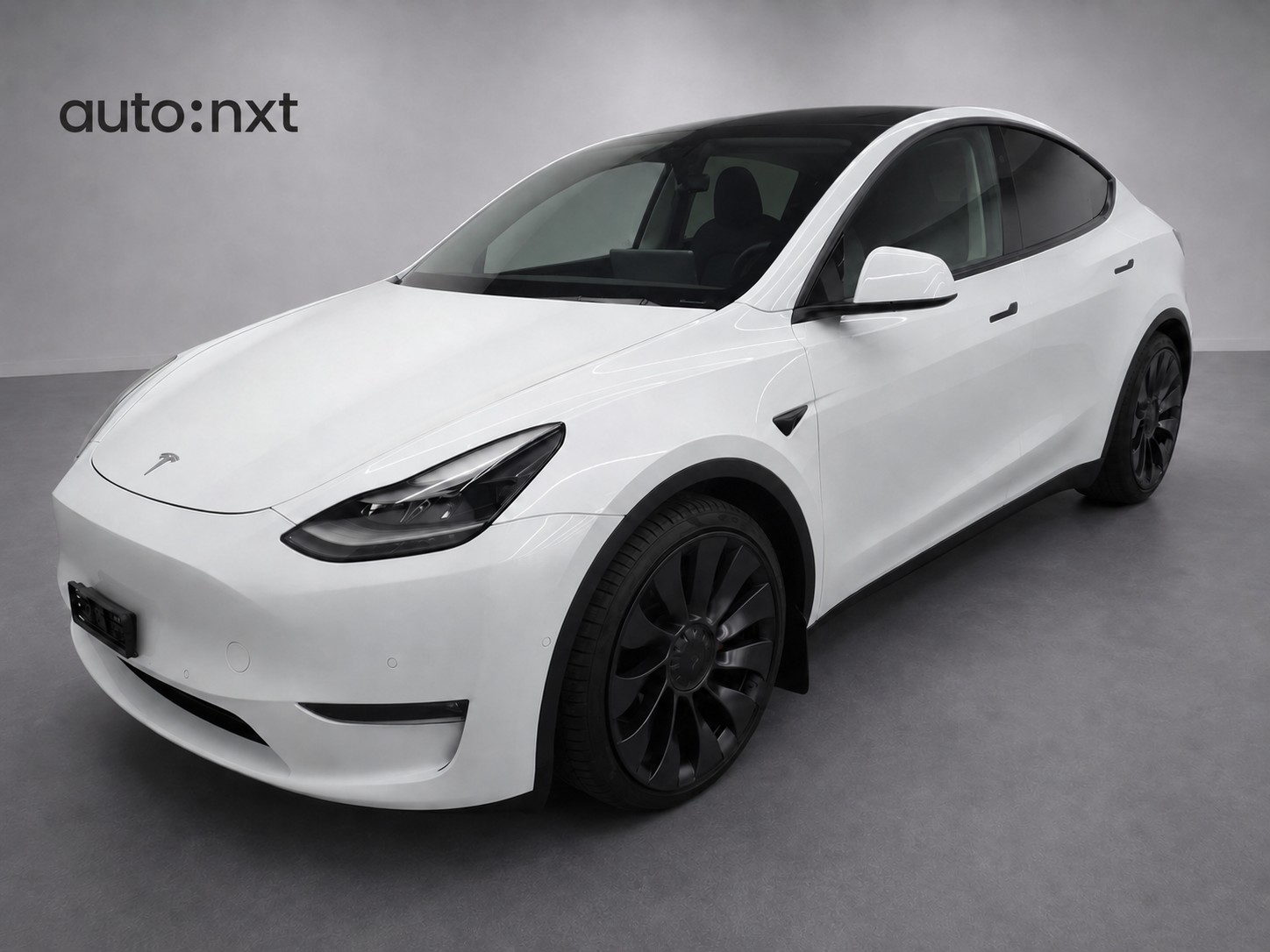 TESLA Model Y Performance-image-0