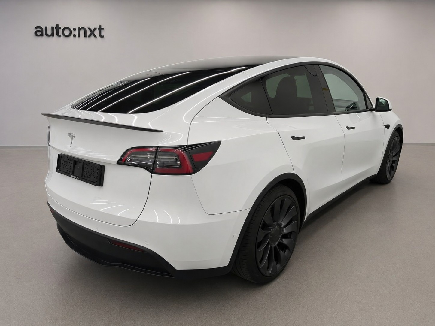 TESLA Model Y Performance-image-1