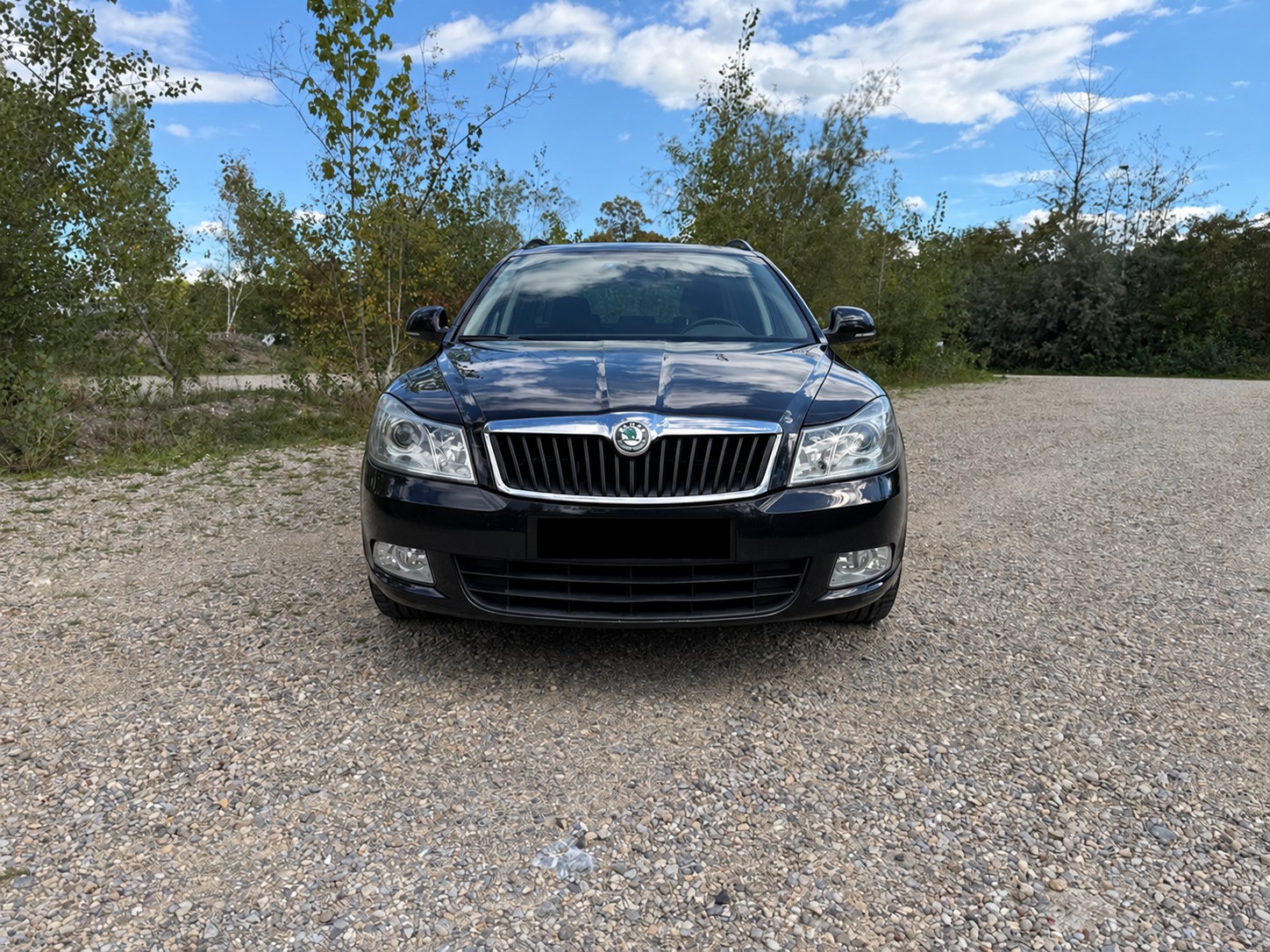SKODA 1.6 TDI Elegance DSG-image-1