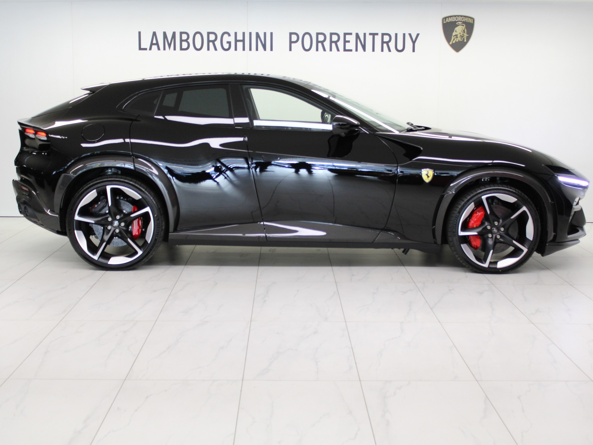 FERRARI PUROSANGUE-image-1