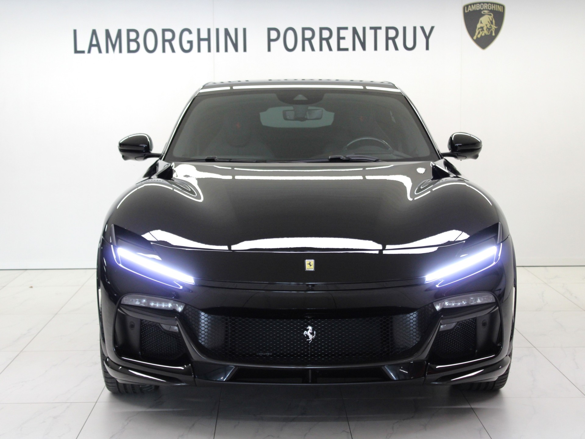 FERRARI PUROSANGUE-image-4