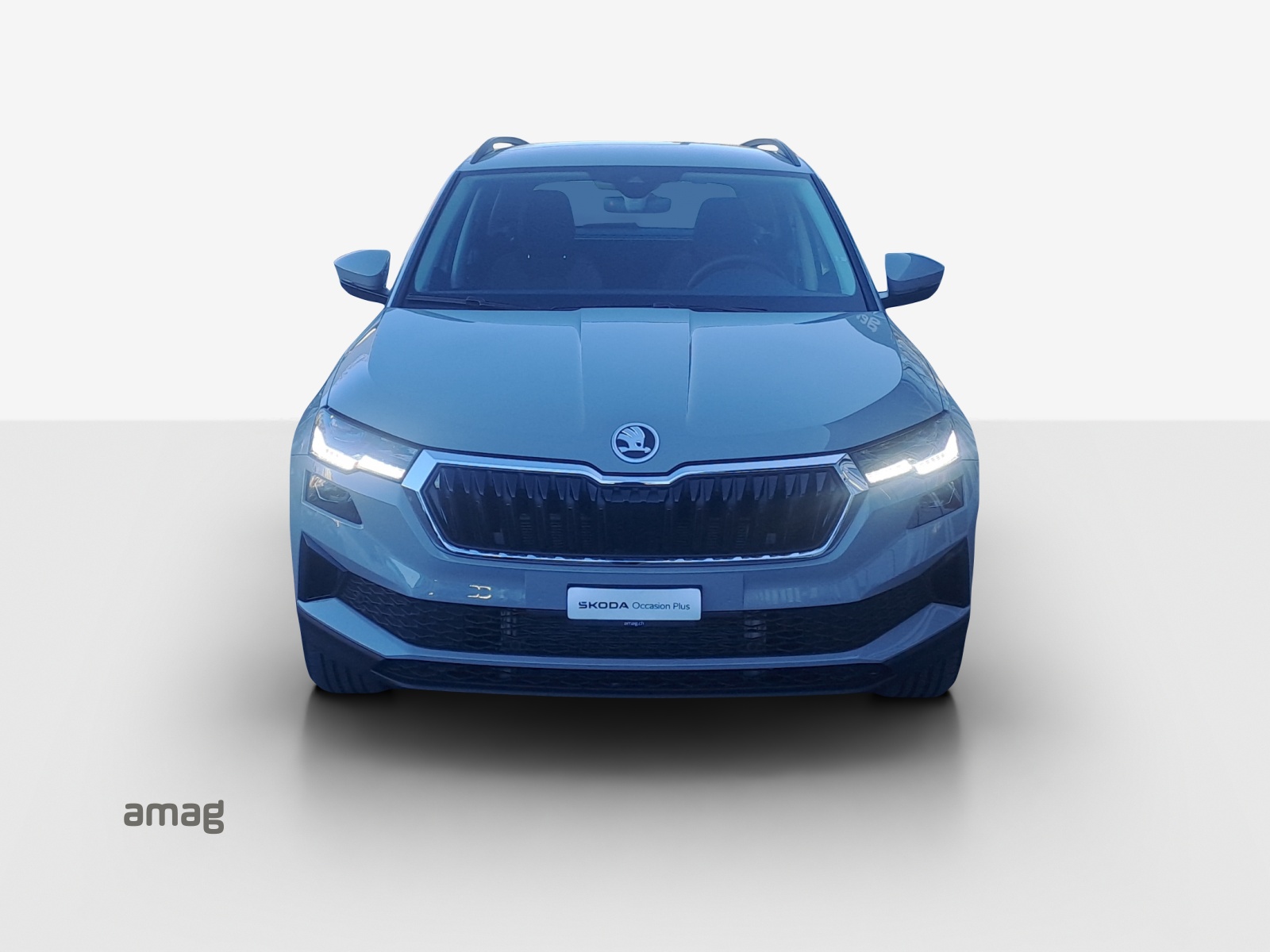 SKODA Karoq 1.5 TSI Selection-image-6