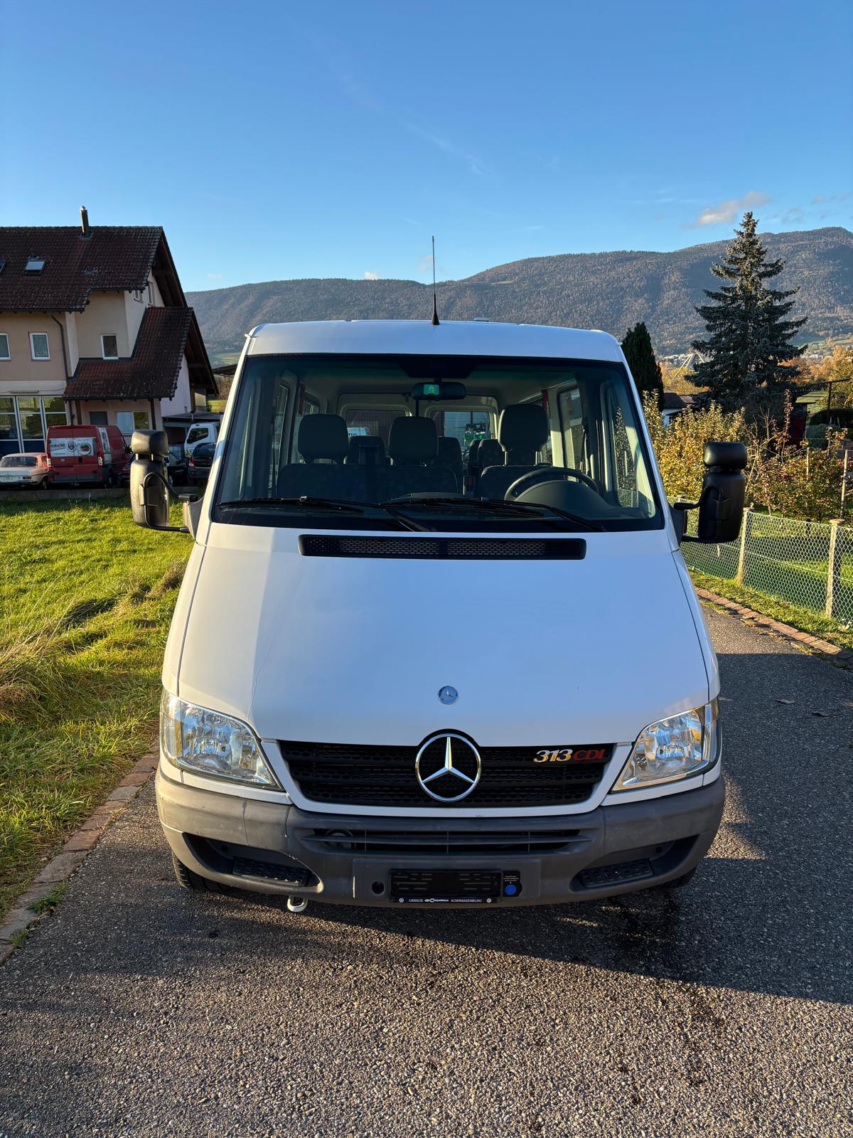 MERCEDES-BENZ Sprinter 313 CDI-image-2