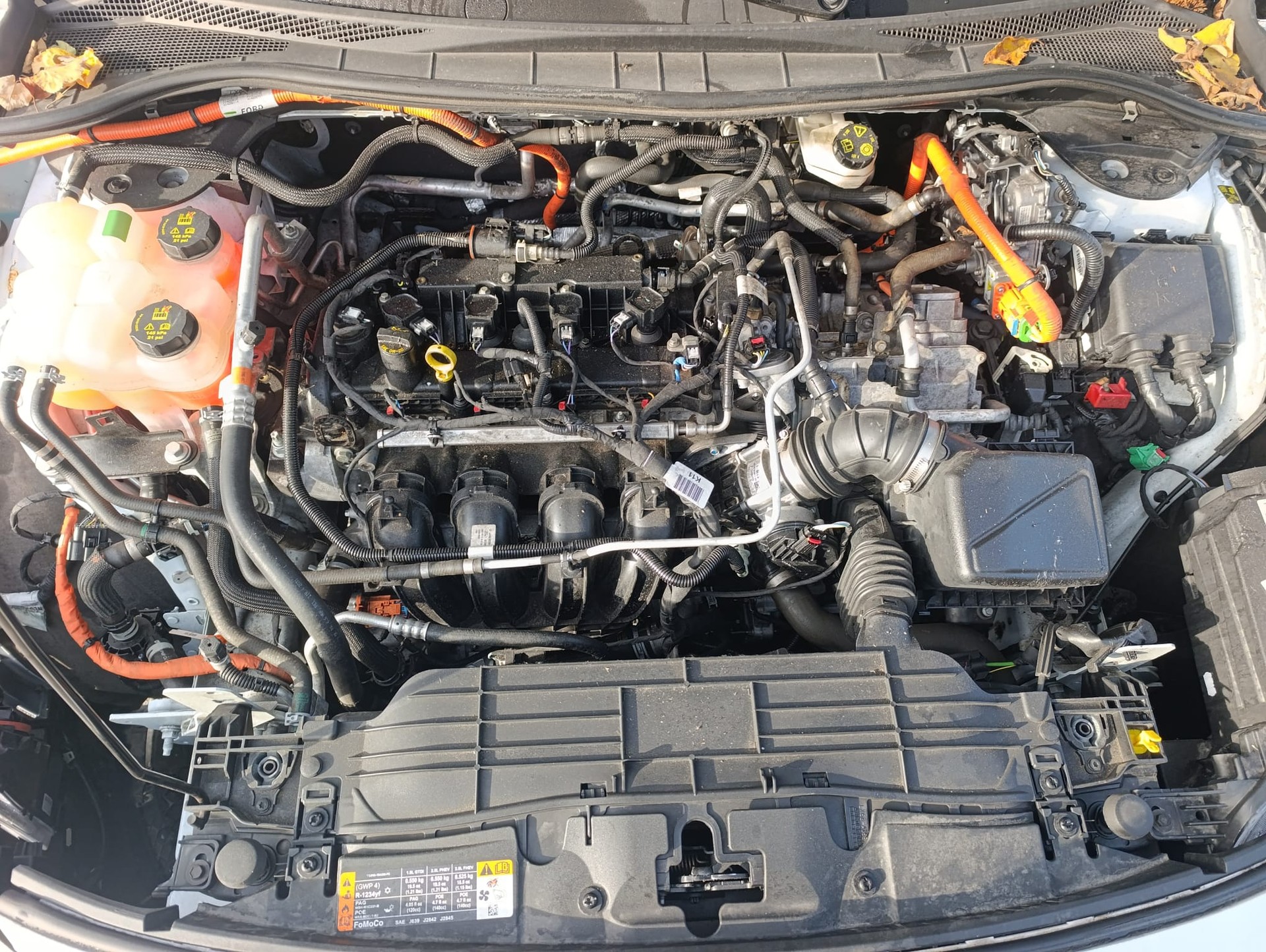 FORD Kuga 2.5 FHEV Titanium 4WD-image-8