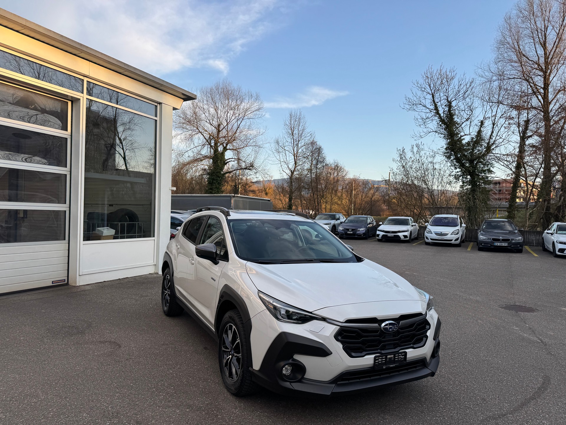 SUBARU Crosstrek 2.0 e-Boxer Luxury AWD Lineartronic-image-2