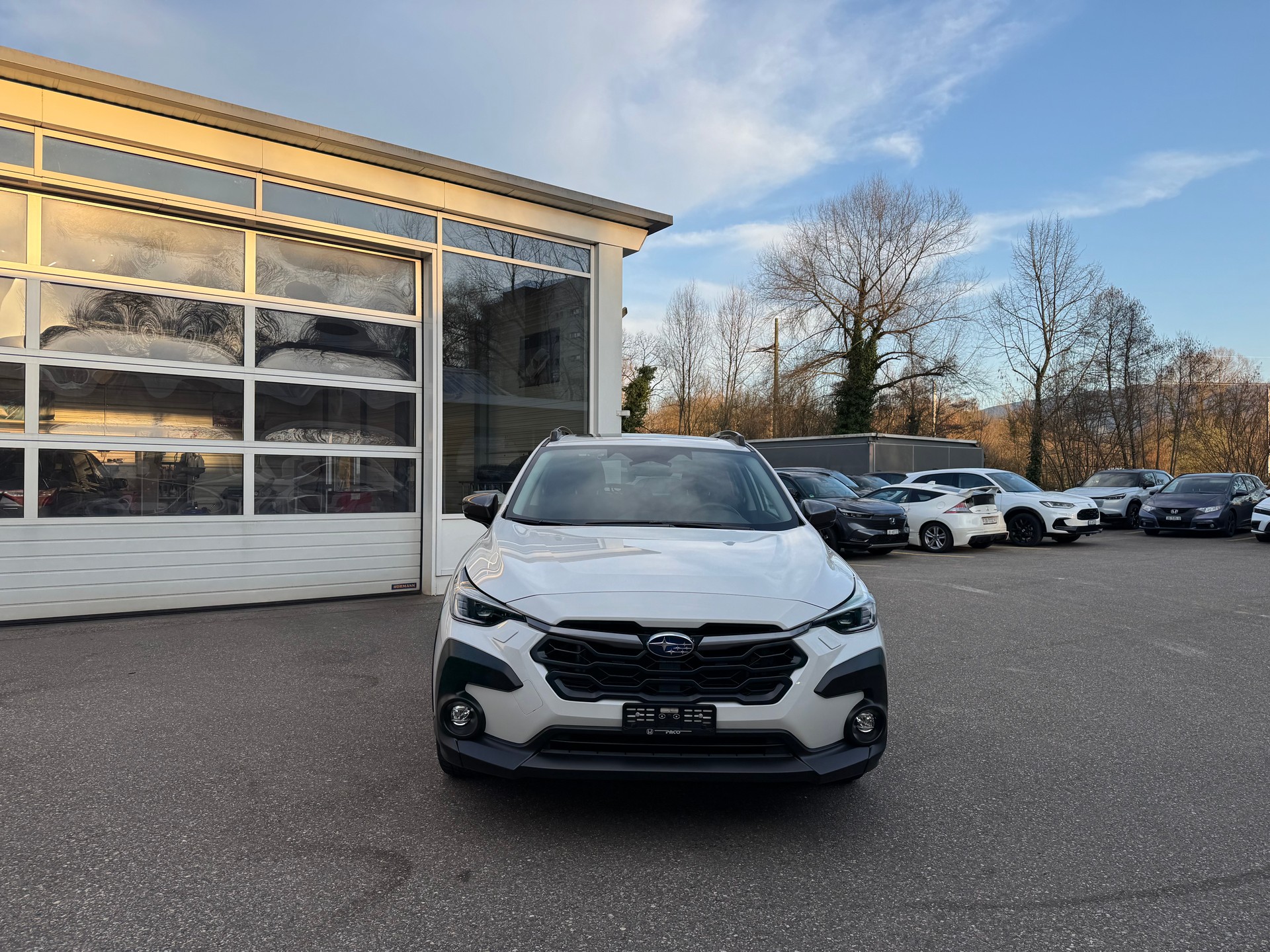 SUBARU Crosstrek 2.0 e-Boxer Luxury AWD Lineartronic-image-1