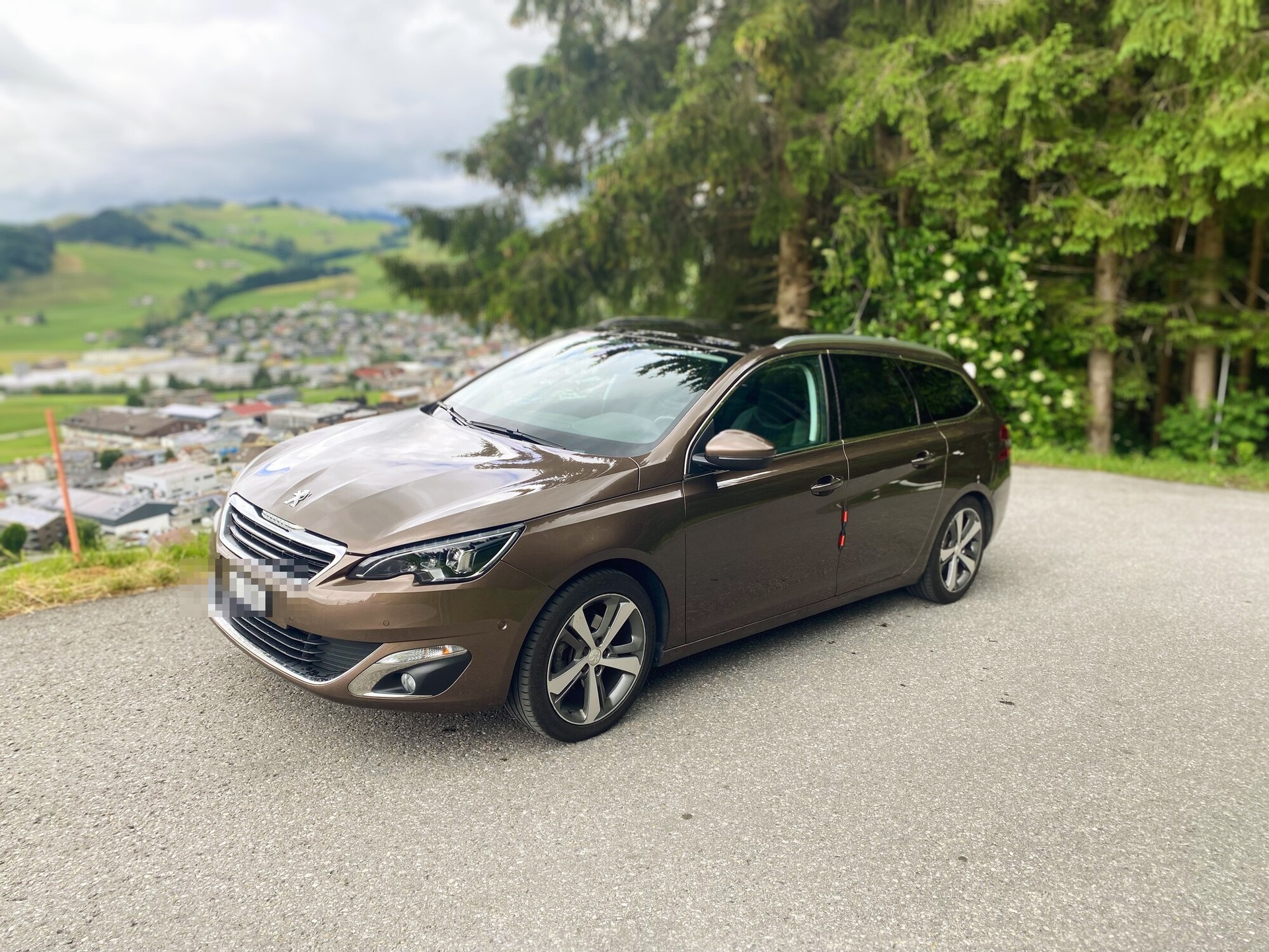 PEUGEOT 1.2 PureTech 130 Feline S/S-image-0
