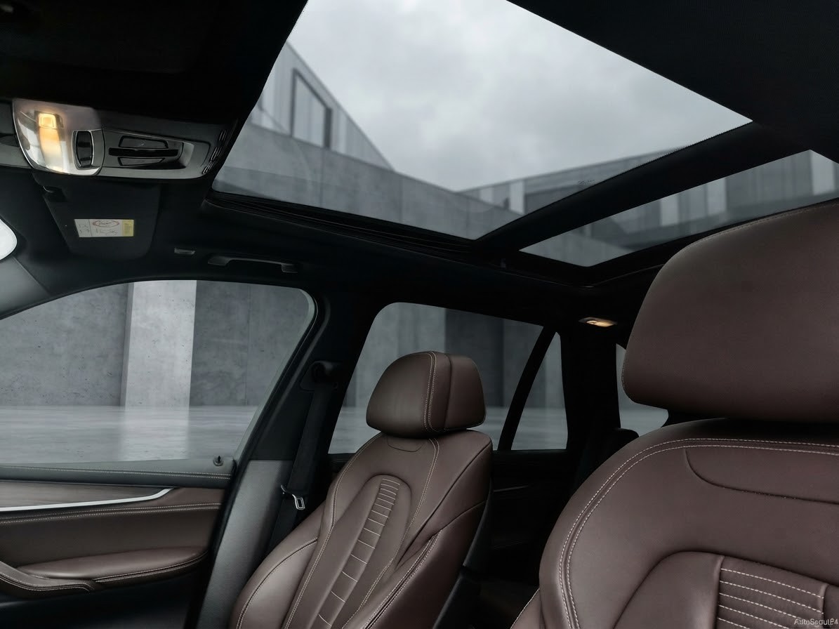 BMW X5 xDrive 30d Steptronic-image-7